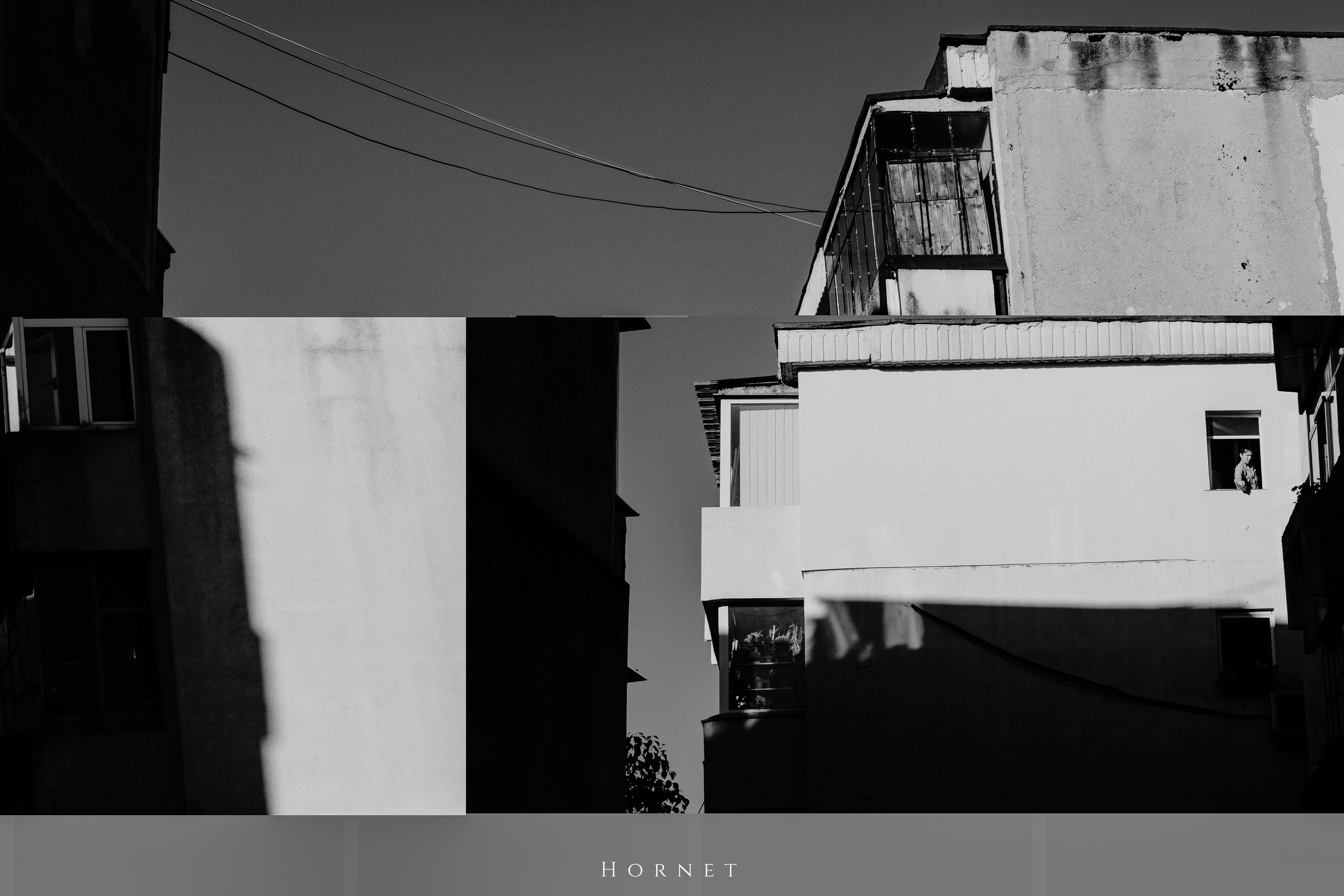 2.11.2025 Ploiesti | Romania. Hornetart