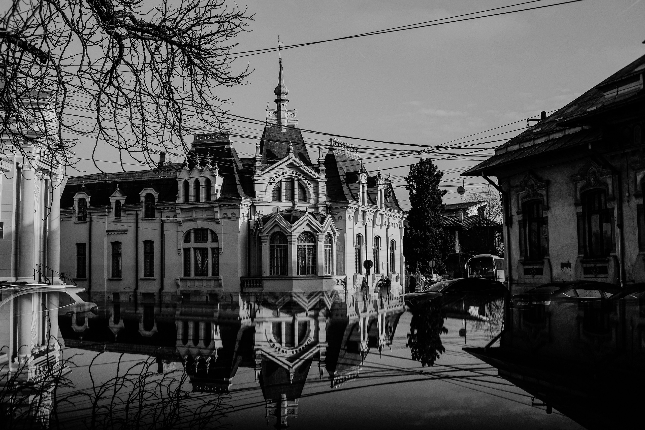 22.11.2025 Ploiesti | Romania. Hornetart