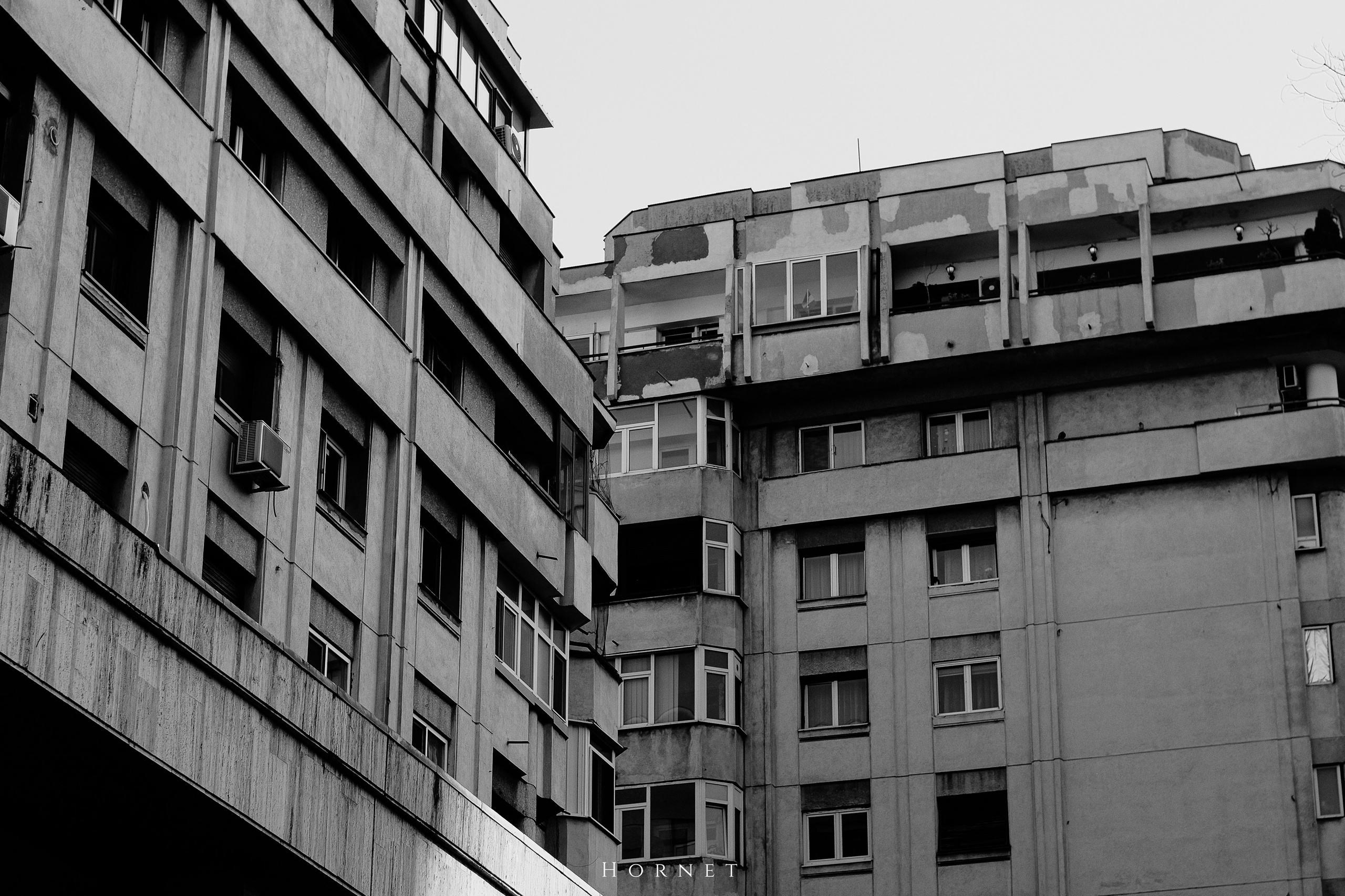 7.02.2025 Ploiesti | Romania. Hornetart