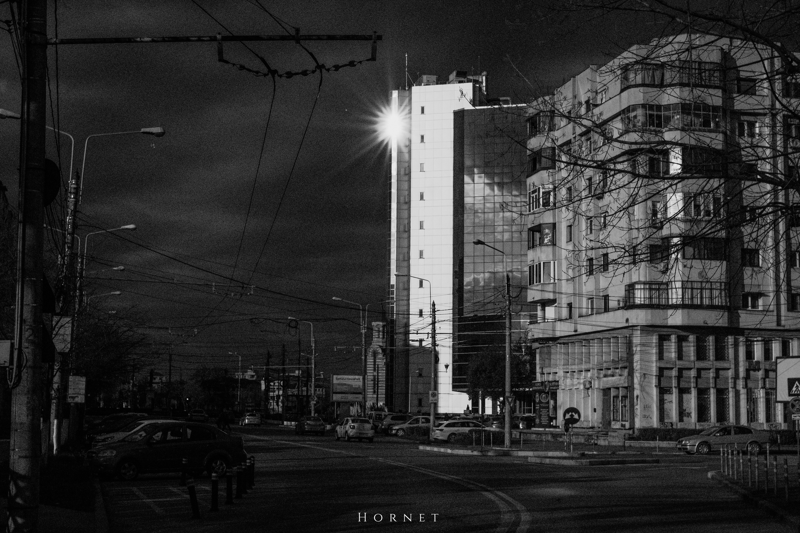 12.04.2025 Ploiesti | Romania. Hornetart