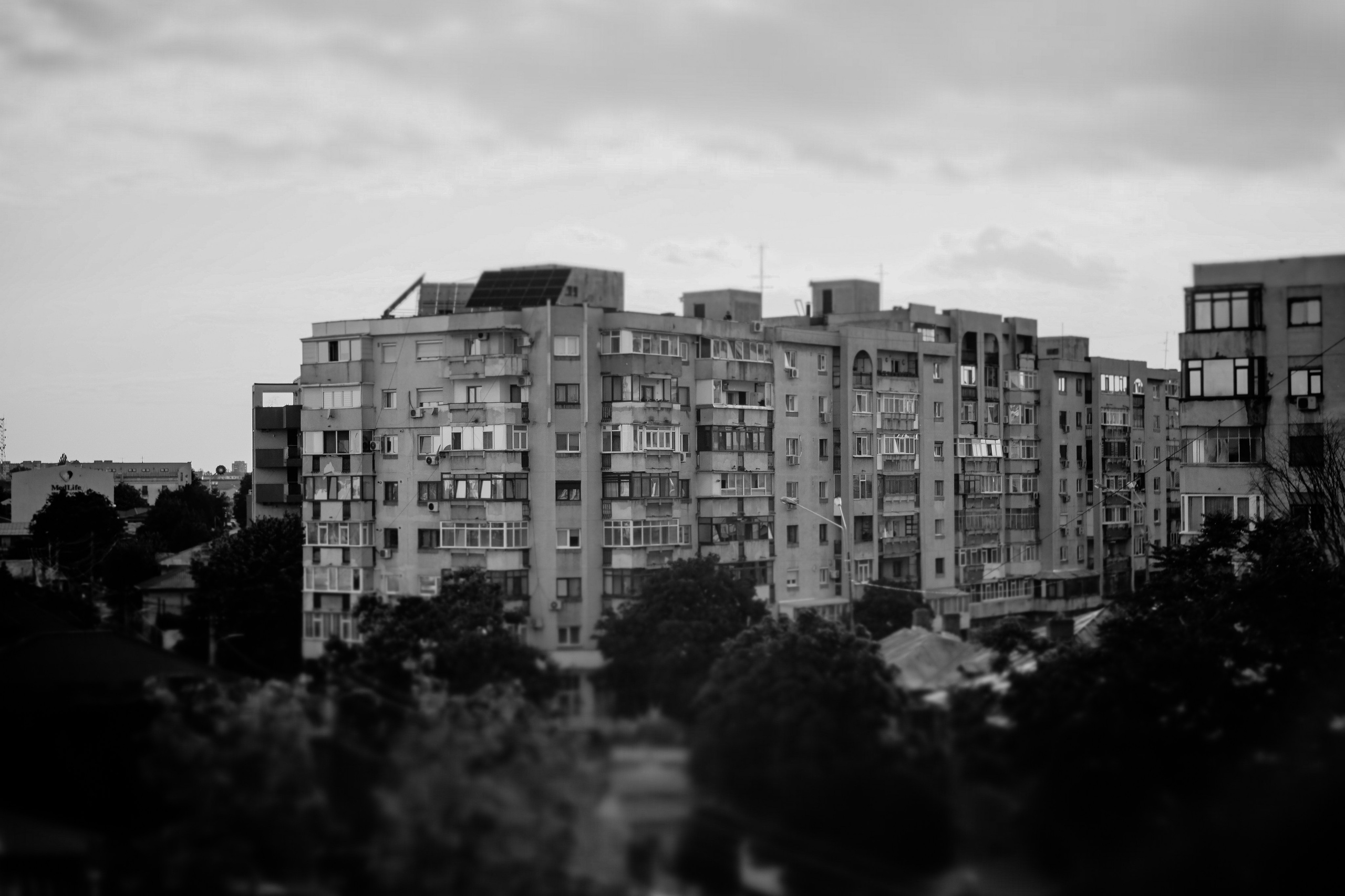 21.06.2025 Ploiesti | Romania. Hornetart