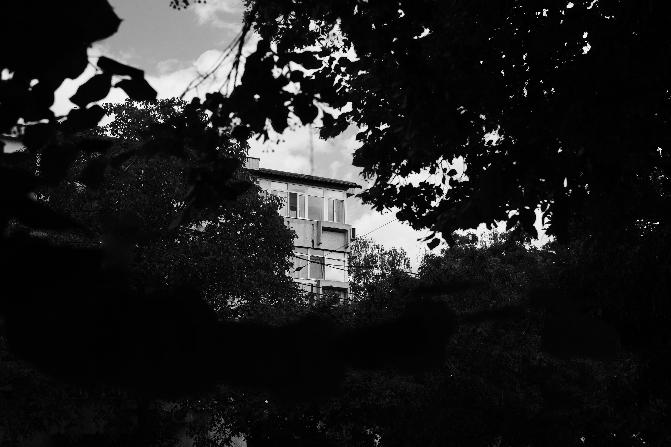 21.06.2025 Ploiesti | Romania. Hornetart