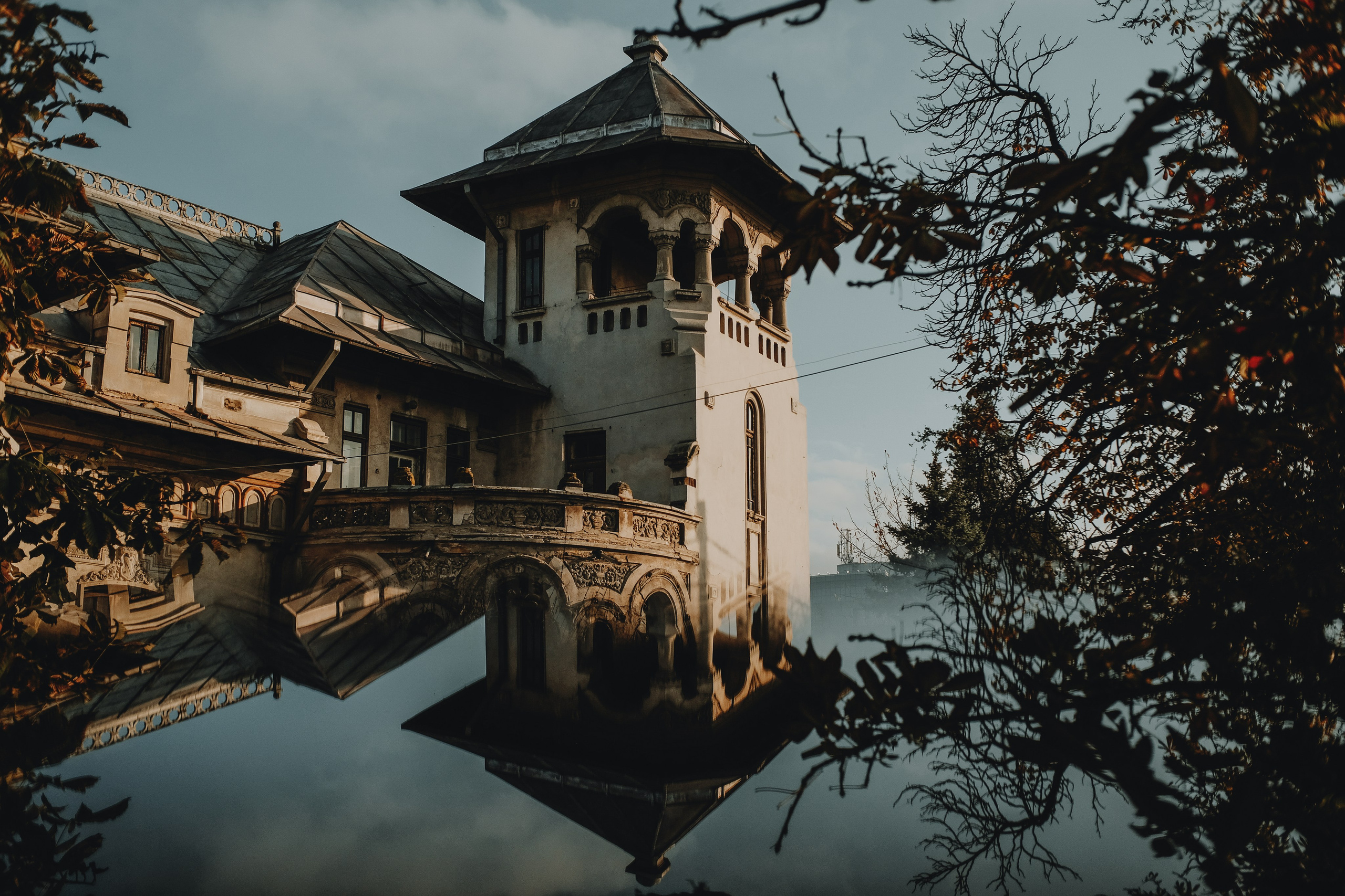 22.11.2025 Ploiesti | Romania. Hornetart