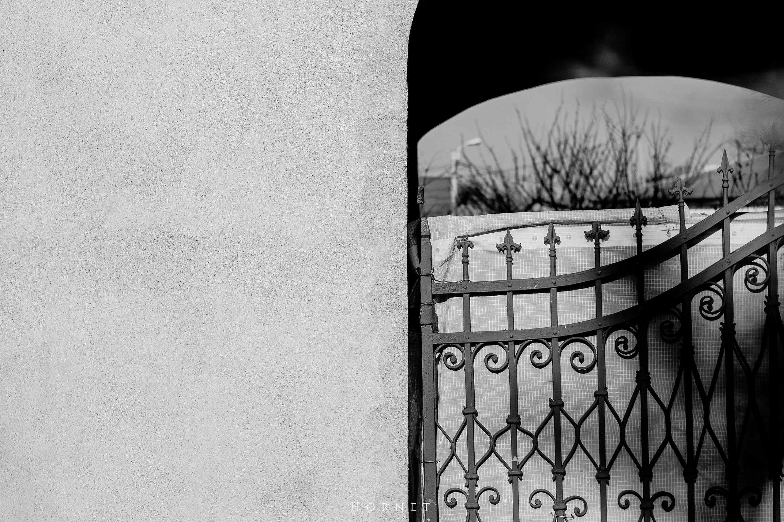 7.02.2025 Ploiesti | Romania. Hornetart