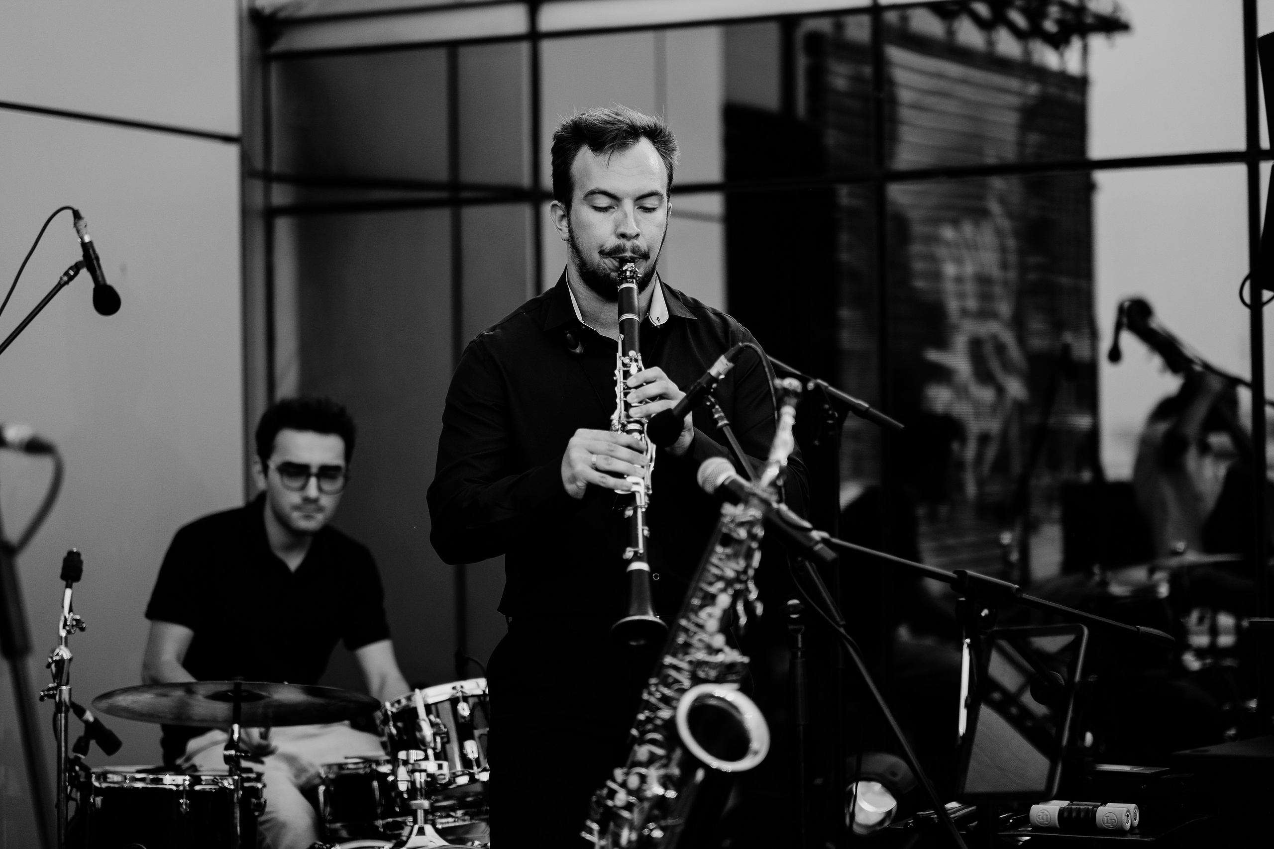 David Luca Trio. Hornetart