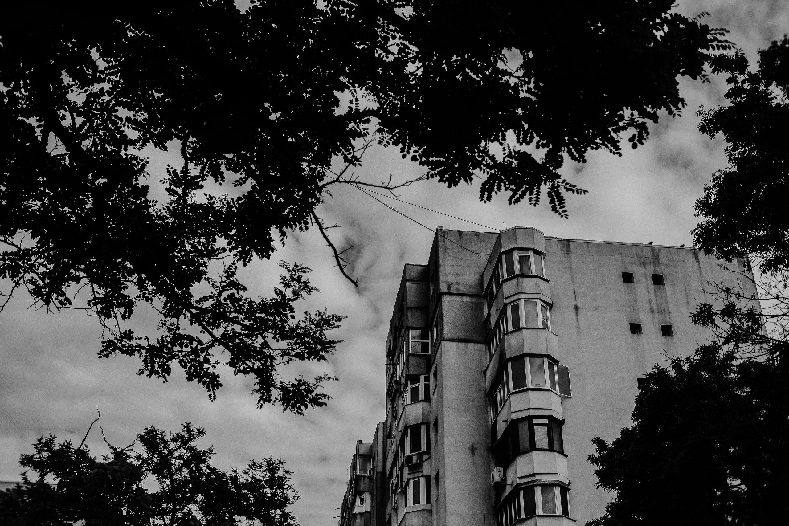 10.05.2025 Ploiesti | Romania. Hornetart