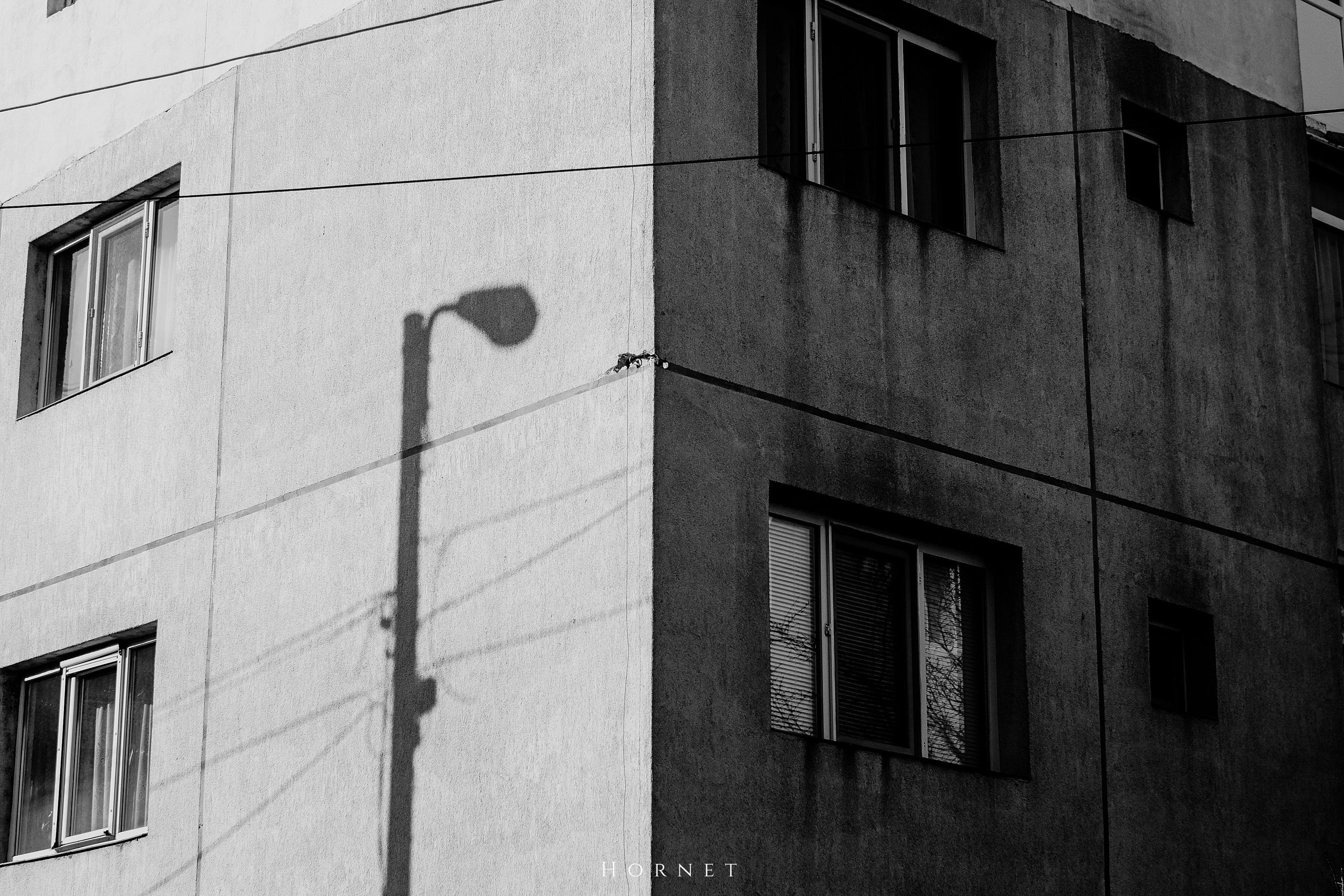 7.02.2025 Ploiesti | Romania. Hornetart