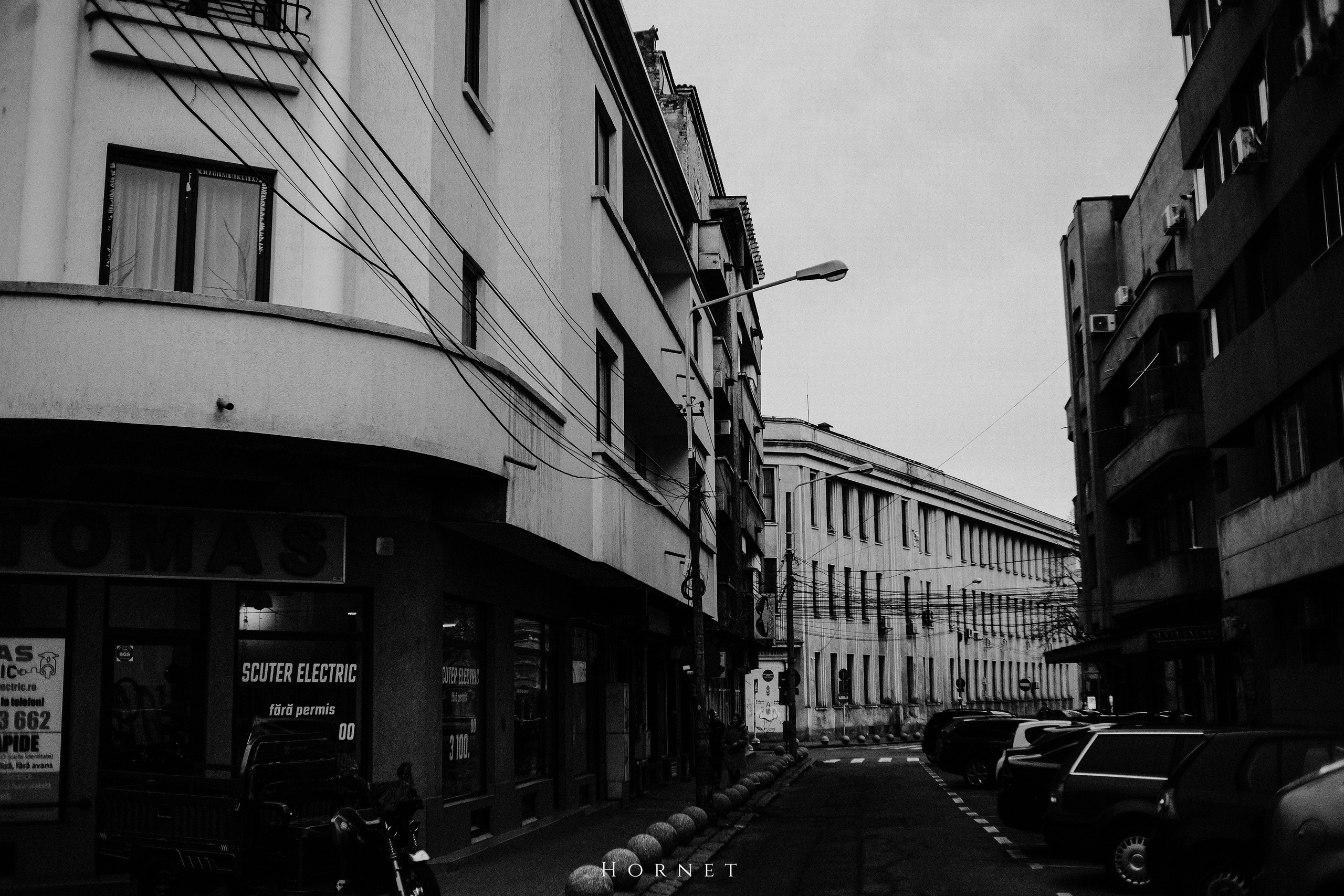 7.01.2025 Ploiesti | Romania. Hornetart