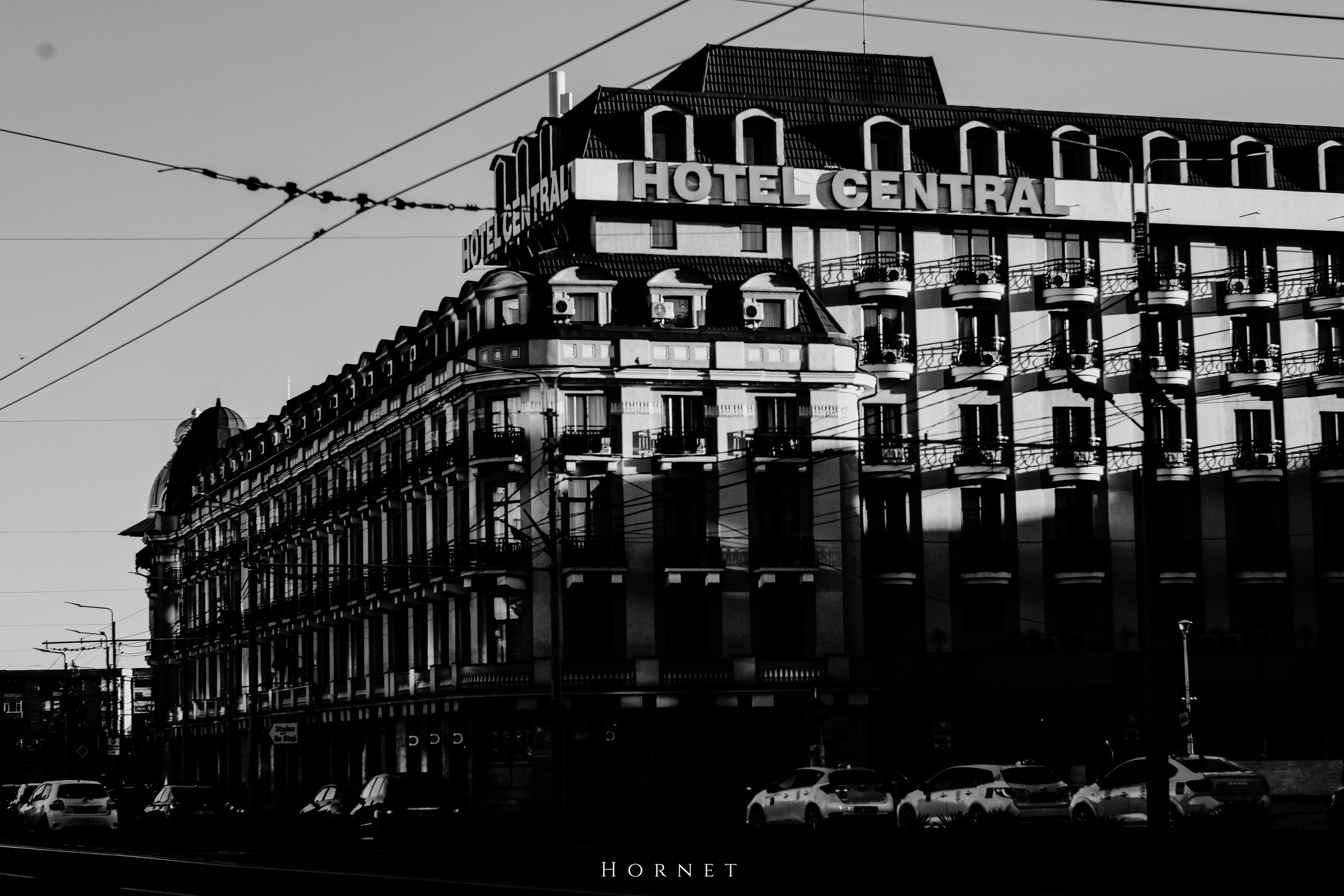 2.11.2025 Ploiesti | Romania. Hornetart