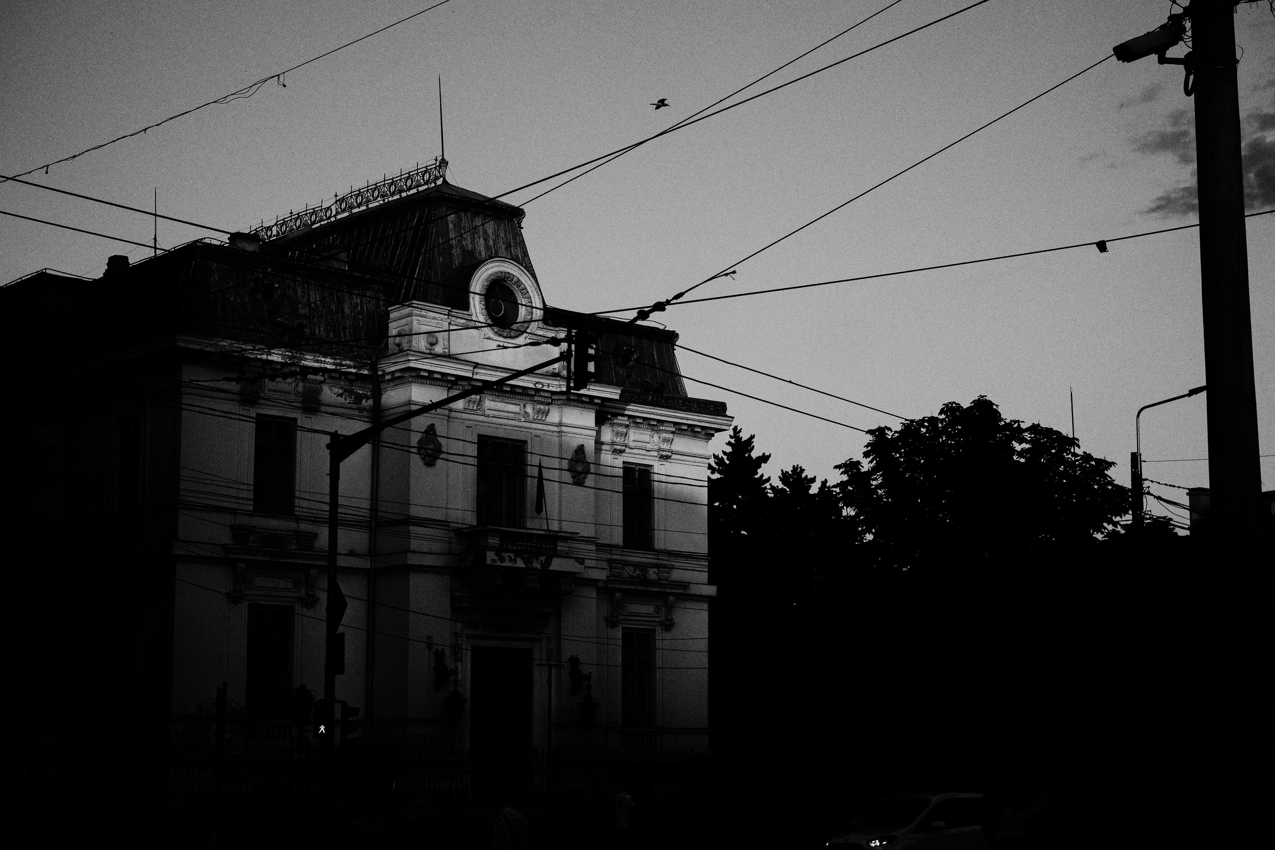 21.06.2025 Ploiesti | Romania. Hornetart