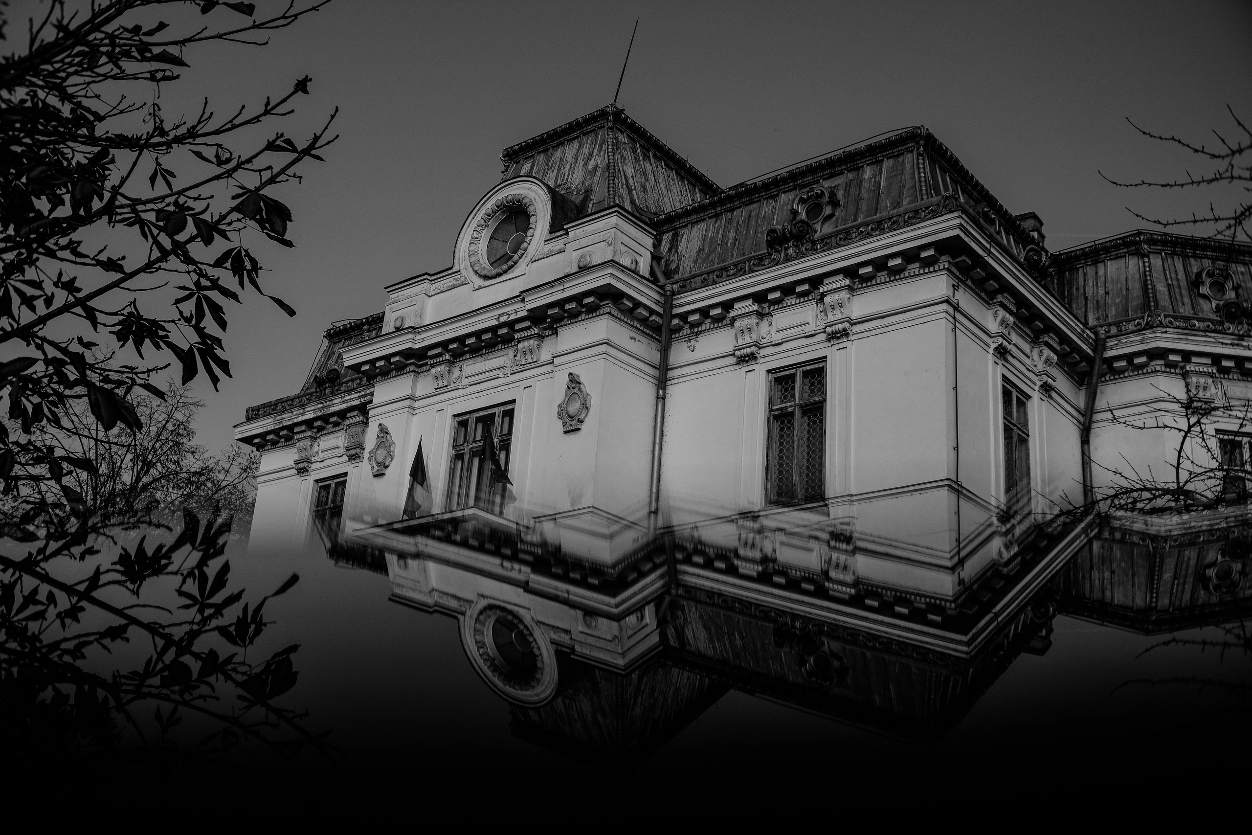 22.11.2025 Ploiesti | Romania. Hornetart