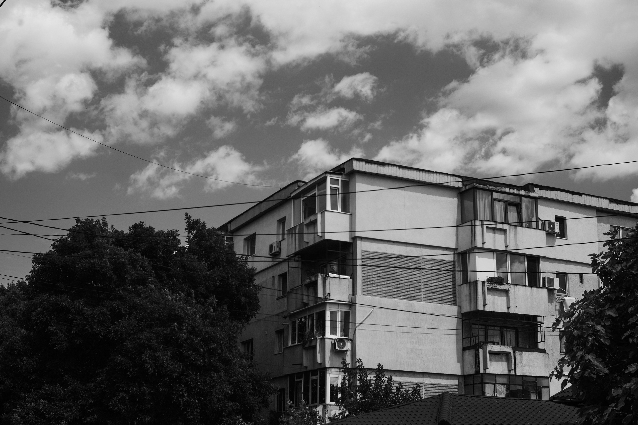 21.06.2025 Ploiesti | Romania. Hornetart