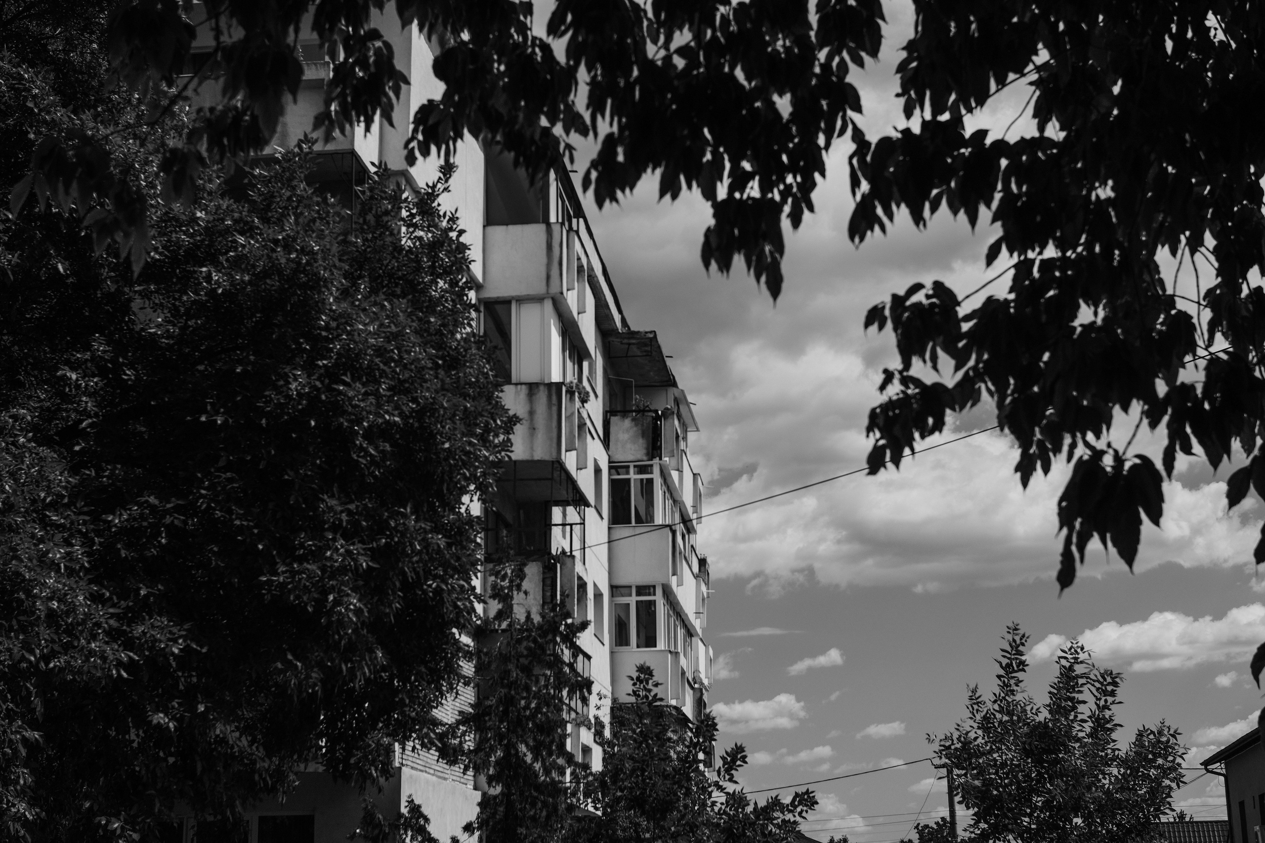 21.06.2025 Ploiesti | Romania. Hornetart