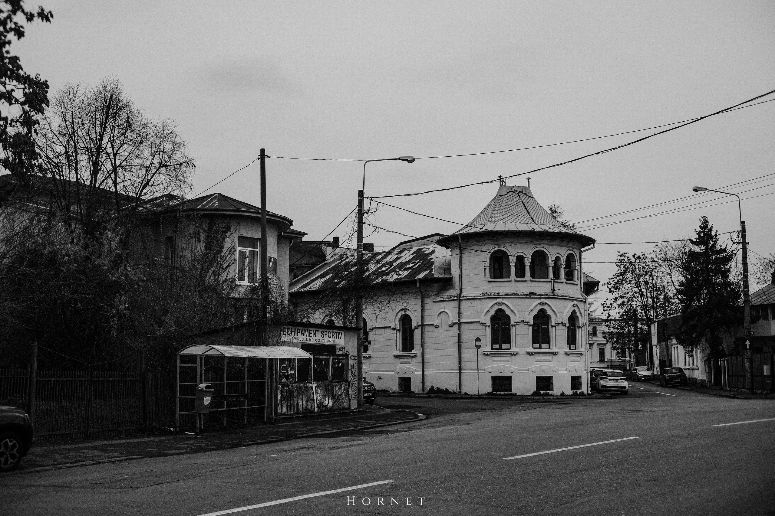 29.03.2025 Ploiesti | Romania. Hornetart