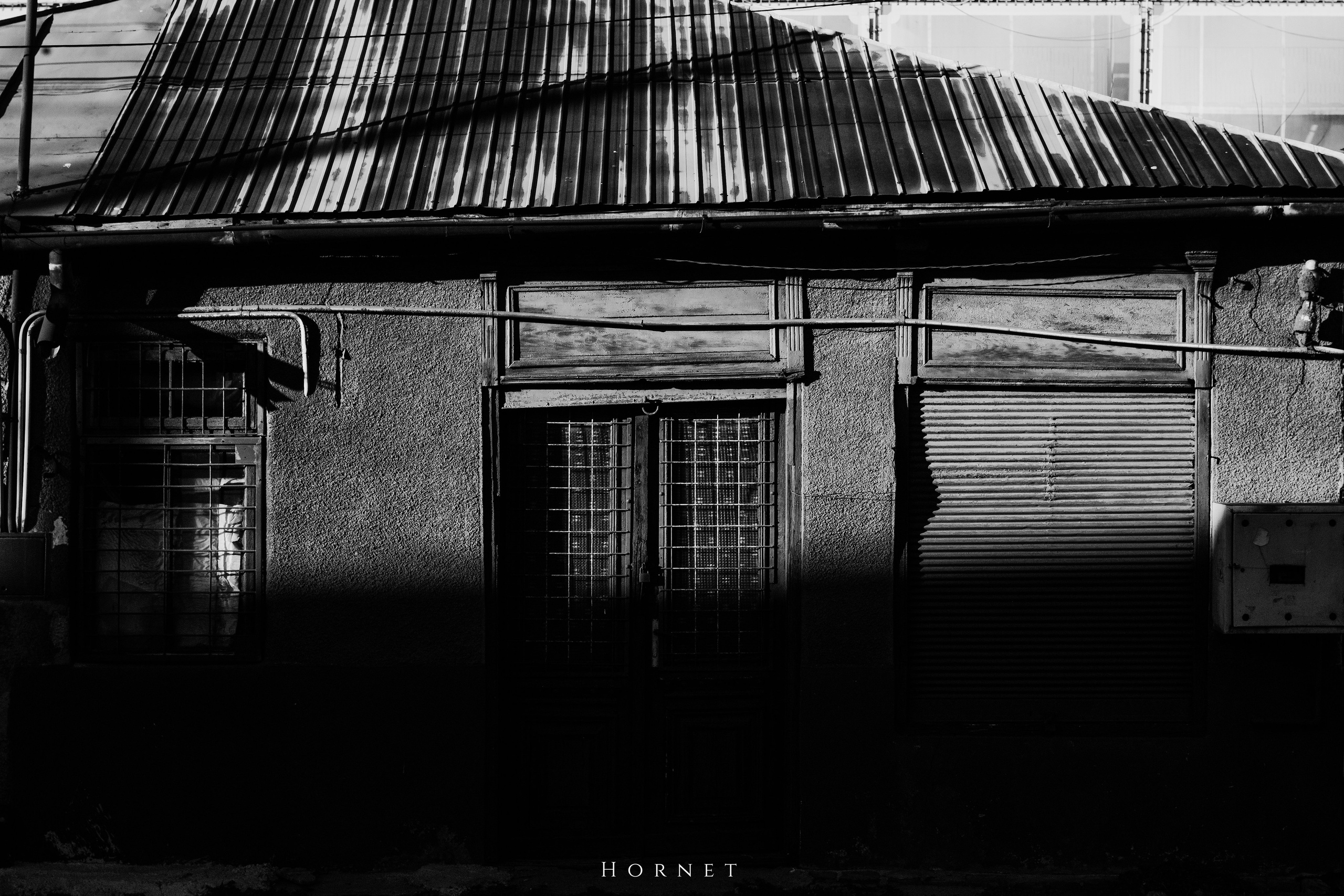 2.11.2025 Ploiesti | Romania. Hornetart