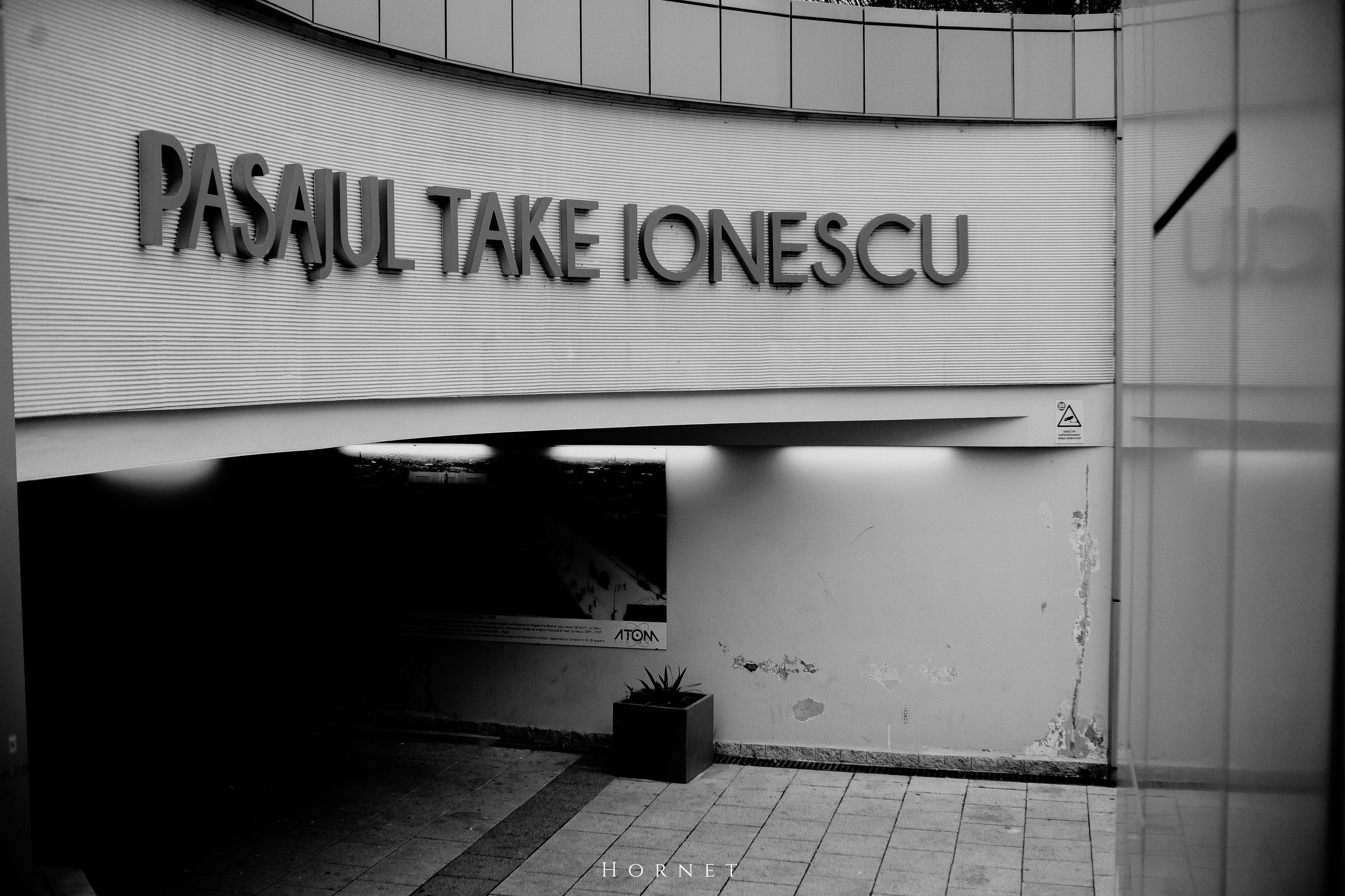 29.03.2025 Ploiesti | Romania. Hornetart