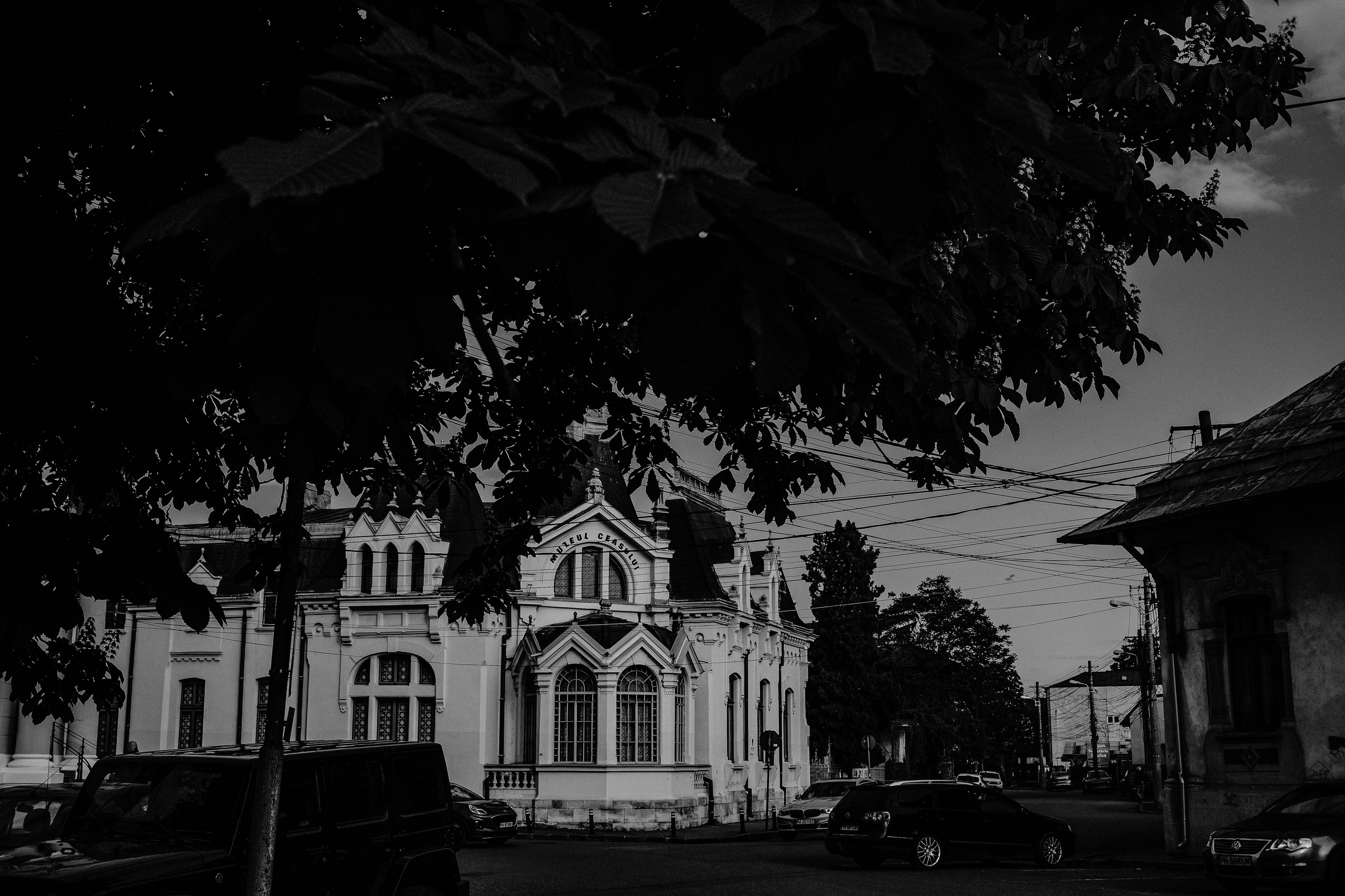 10.05.2025 Ploiesti | Romania. Hornetart