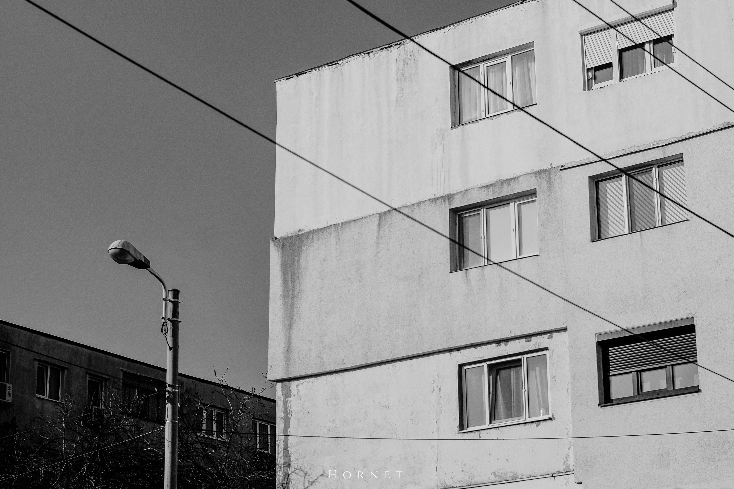 7.02.2025 Ploiesti | Romania. Hornetart