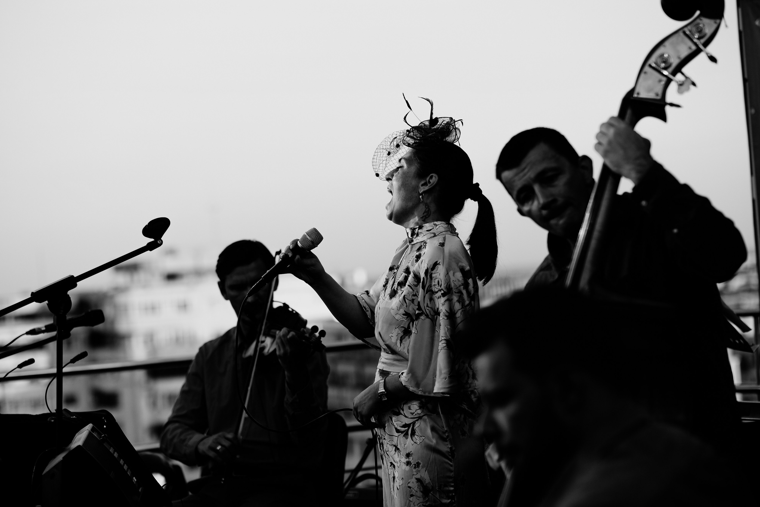 Luiza Zan & Jazzpar Trio. Hornetart