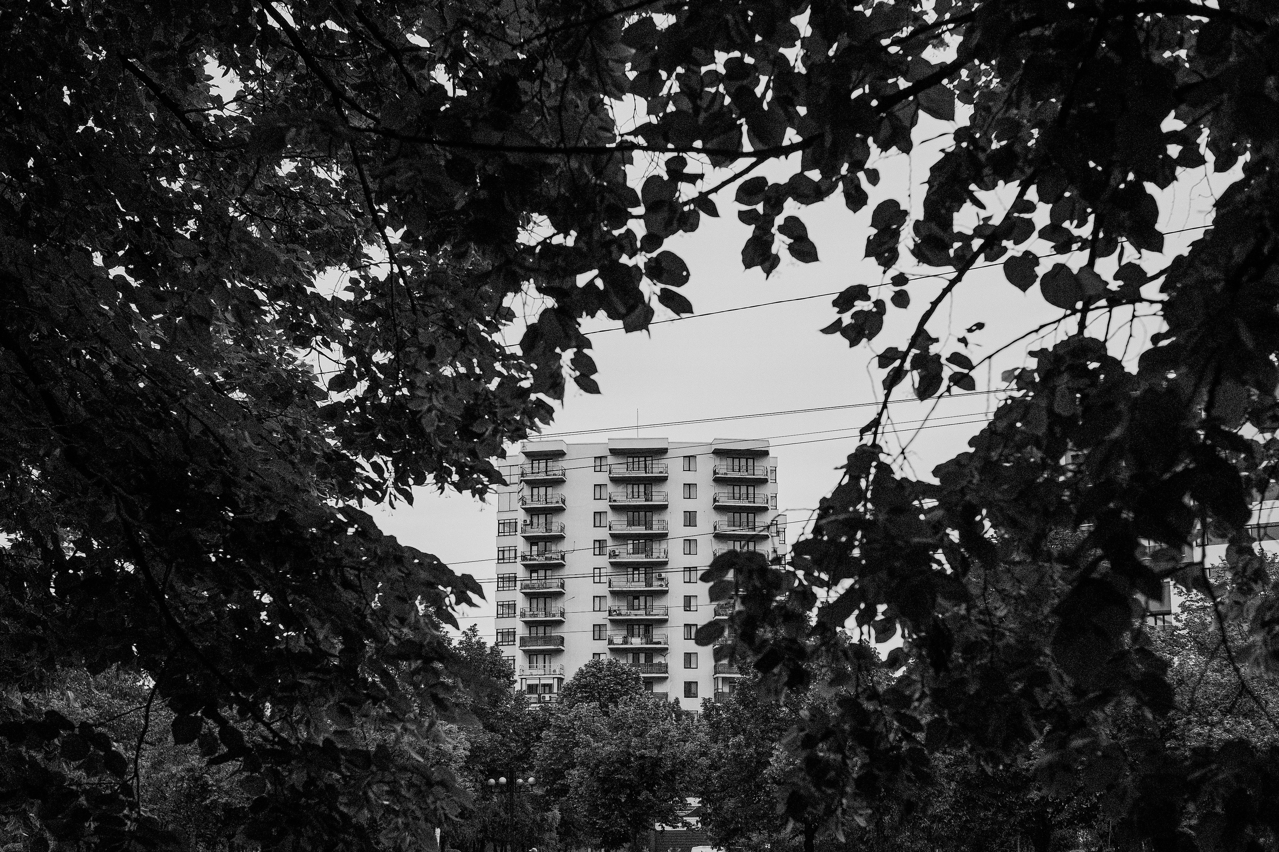 10.05.2025 Ploiesti | Romania. Hornetart