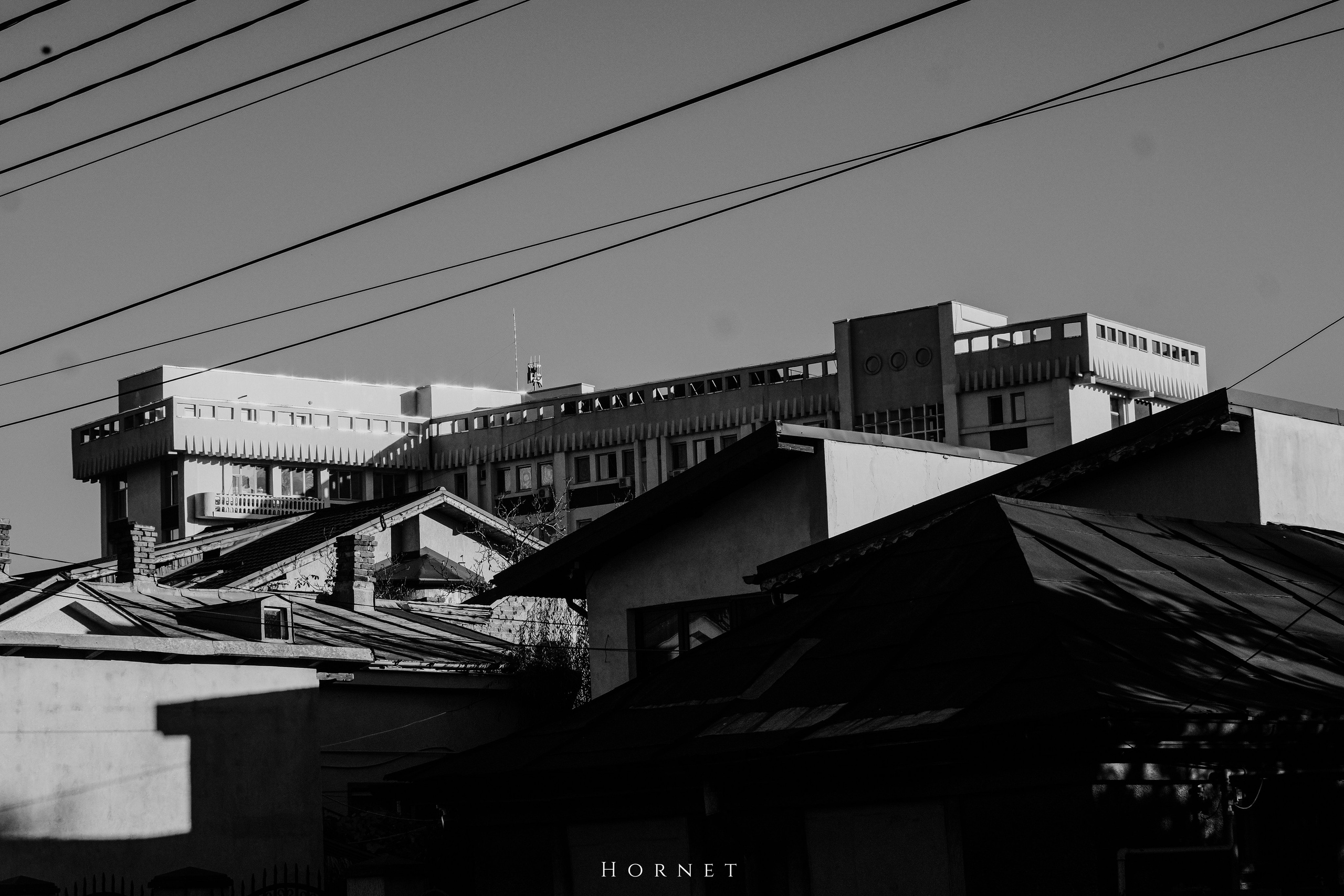 2.11.2025 Ploiesti | Romania. Hornetart