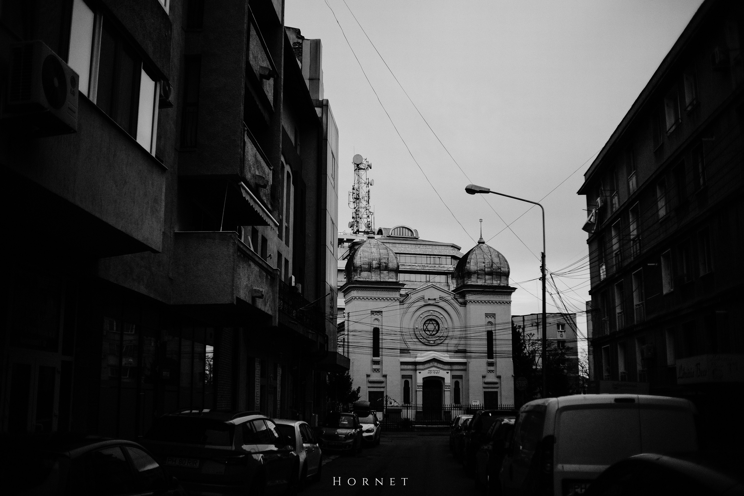 7.01.2025 Ploiesti | Romania. Hornetart
