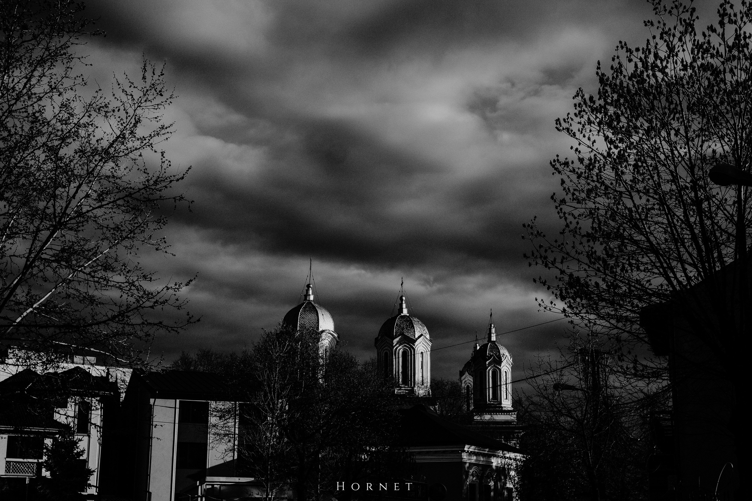 12.04.2025 Ploiesti | Romania. Hornetart