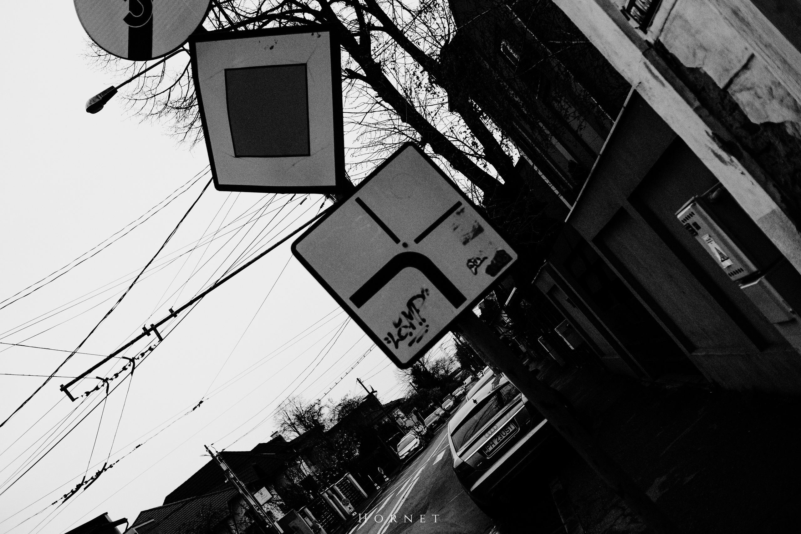 29.03.2025 Ploiesti | Romania. Hornetart