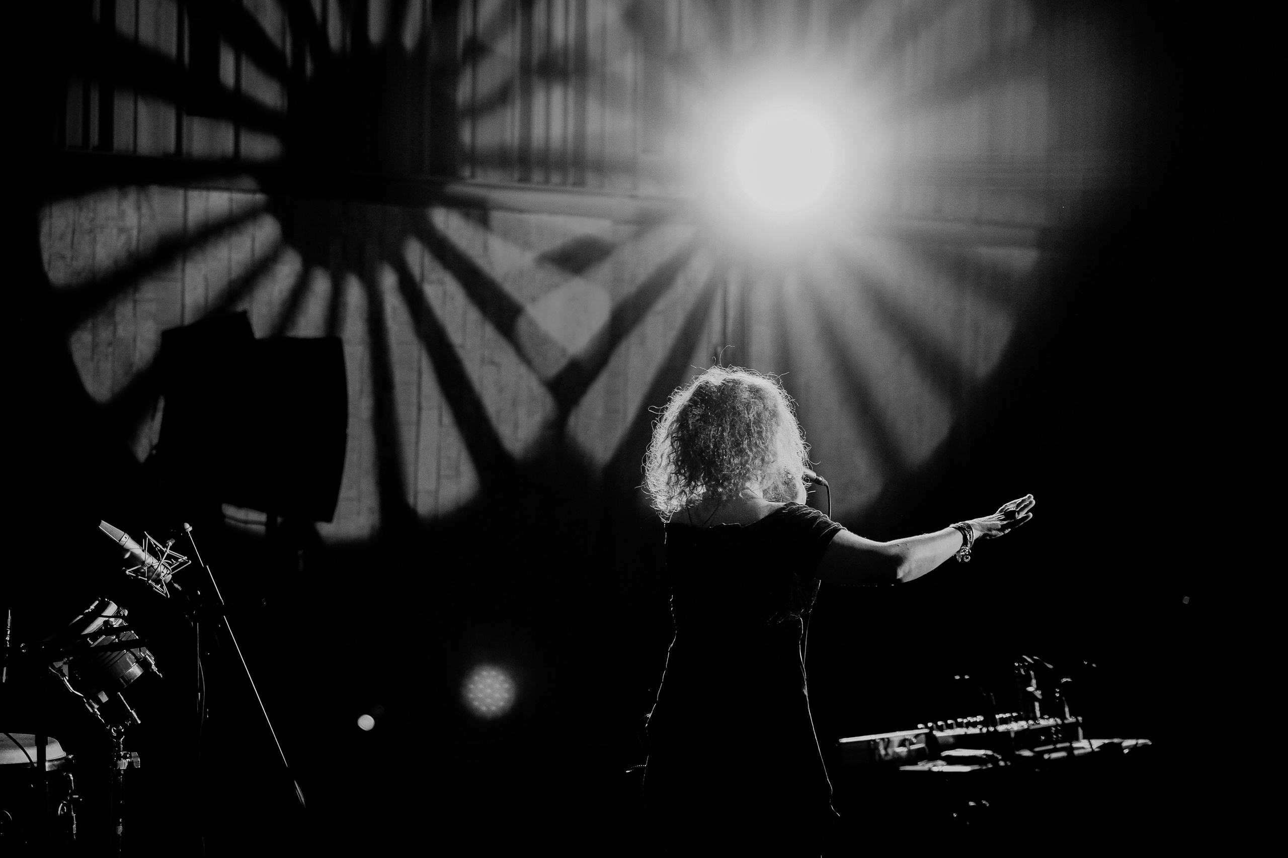 Kristin Asbjornsen Trio. Hornetart