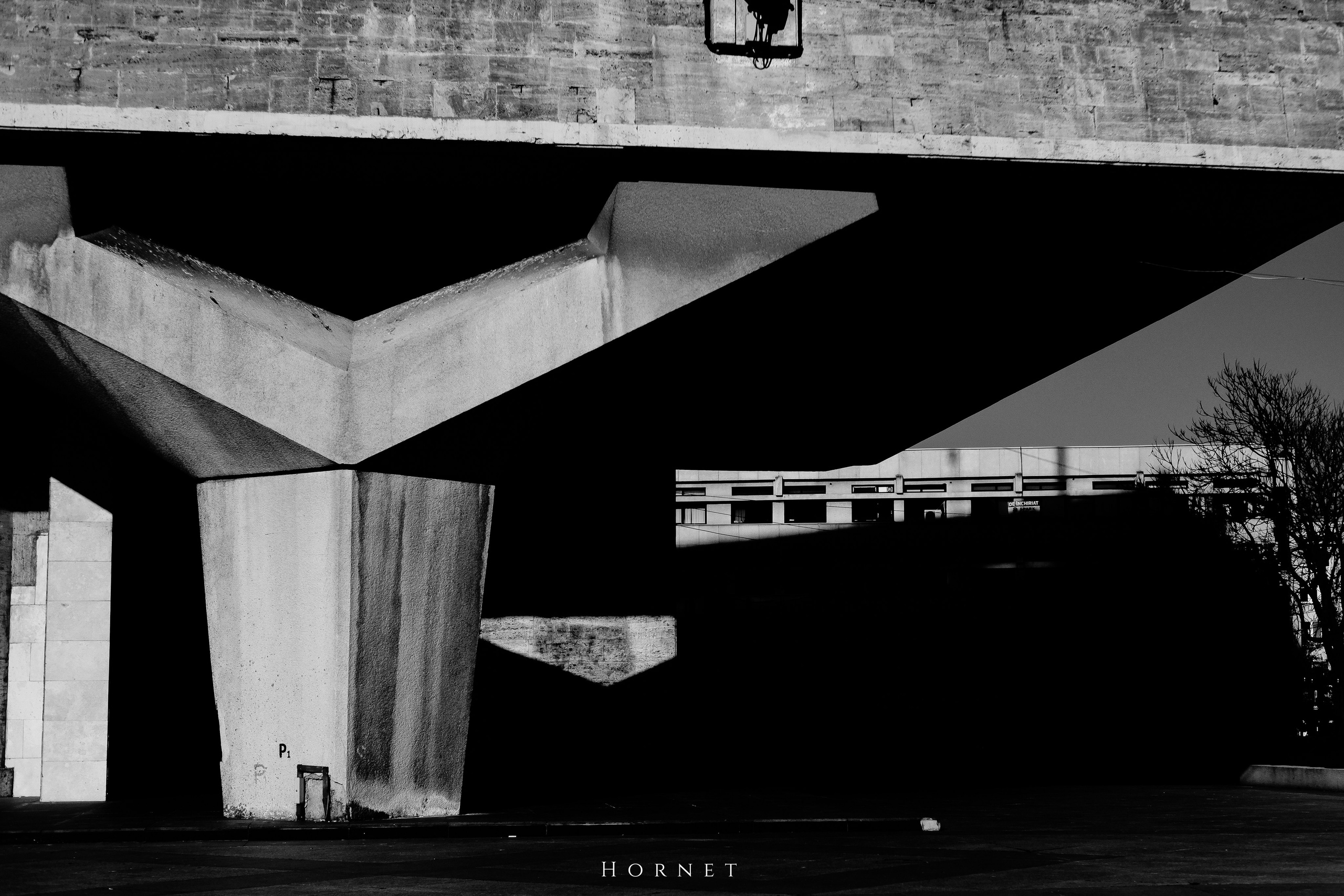 14.03.2026 Ploiesti | Romania. Hornetart