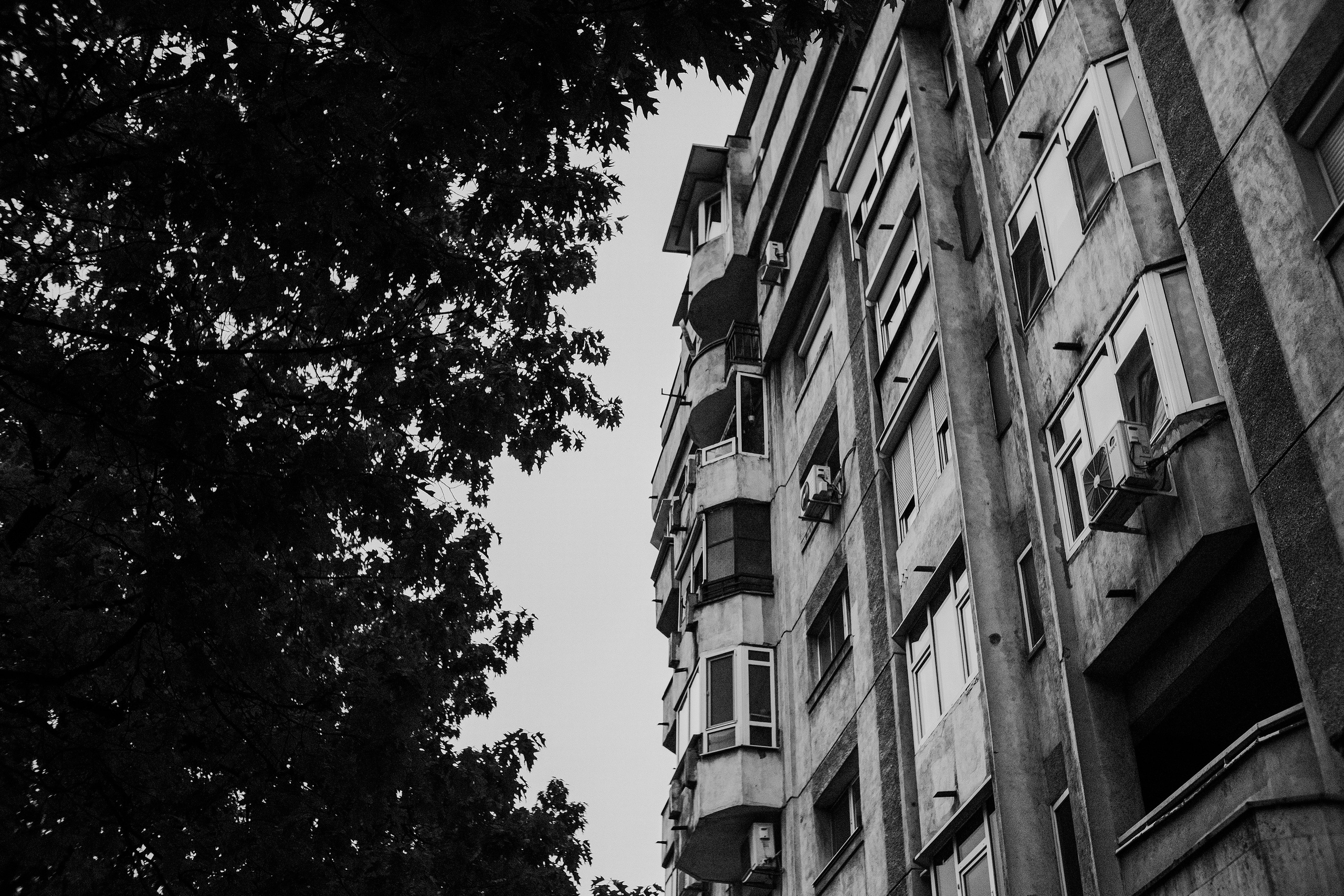 10.05.2025 Ploiesti | Romania. Hornetart