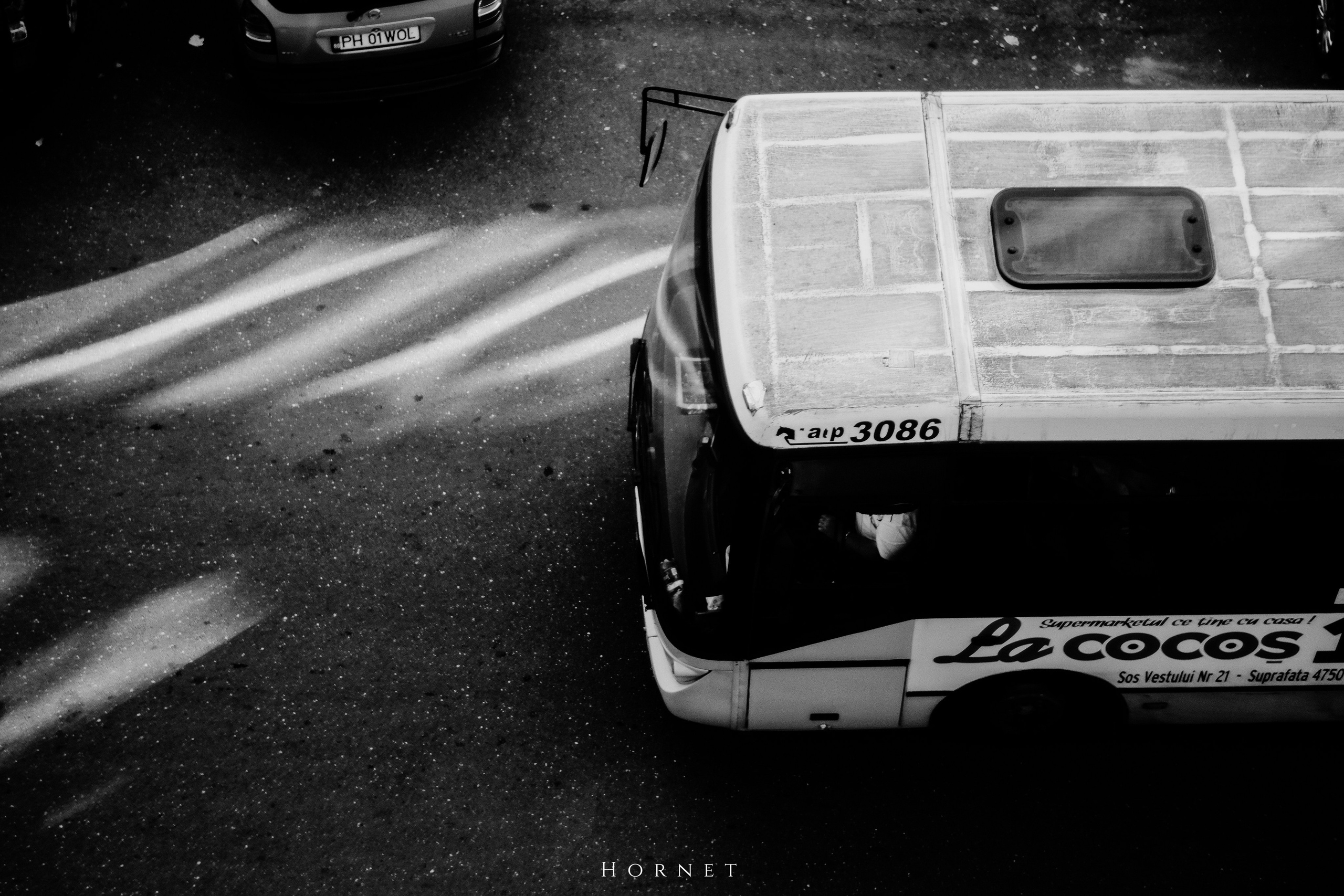 2.11.2025 Ploiesti | Romania. Hornetart