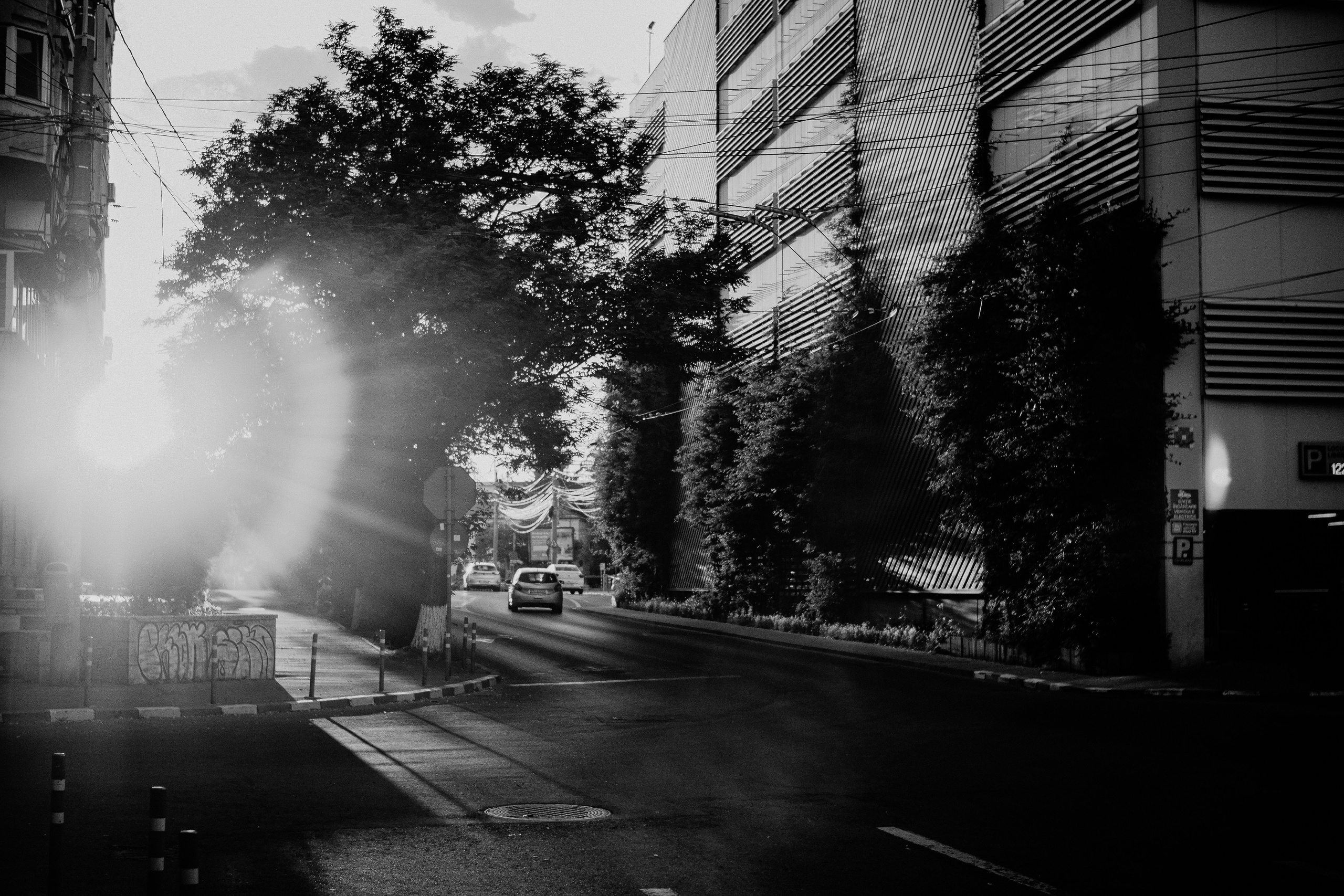 21.06.2025 Ploiesti | Romania. Hornetart