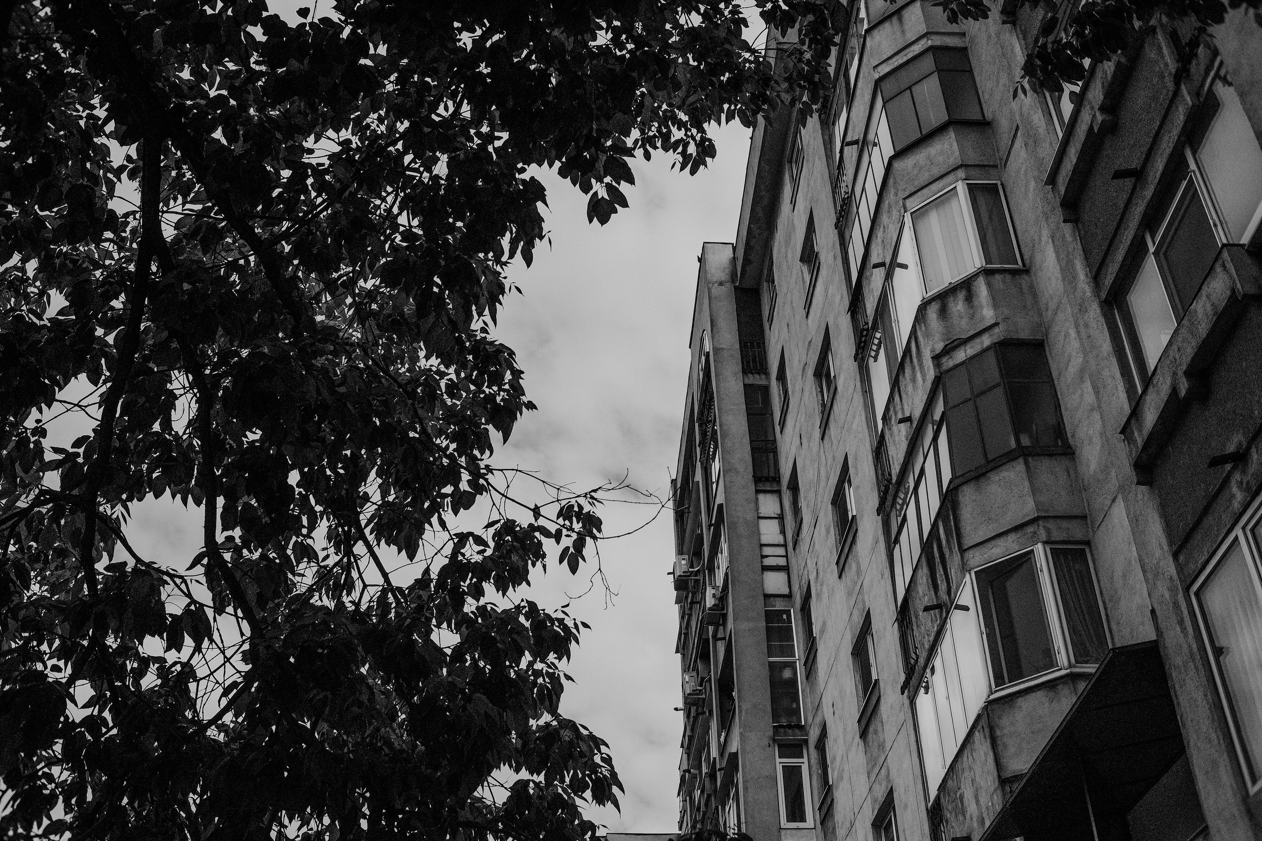 10.05.2025 Ploiesti | Romania. Hornetart