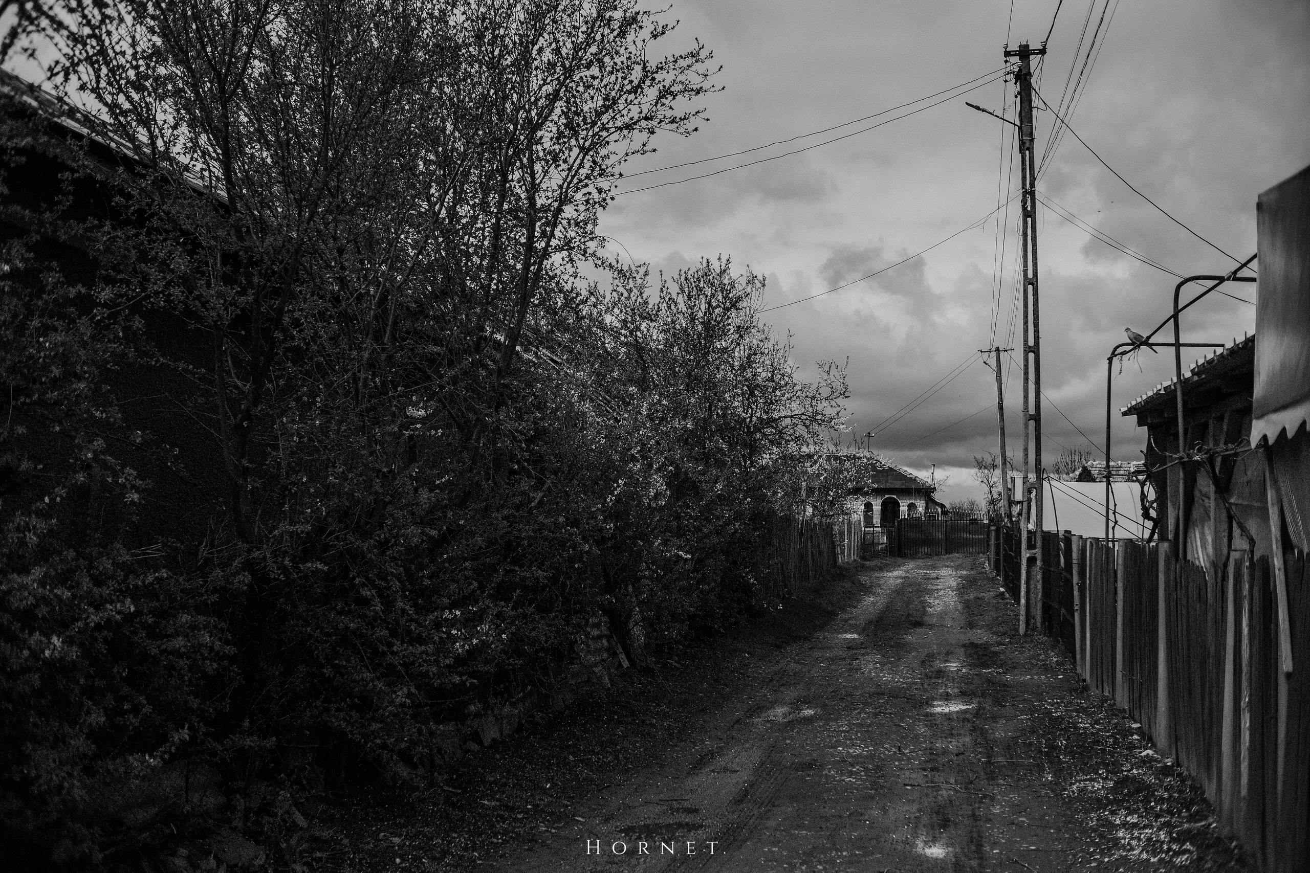 30.03.2025 Buzau | Romania. Hornetart