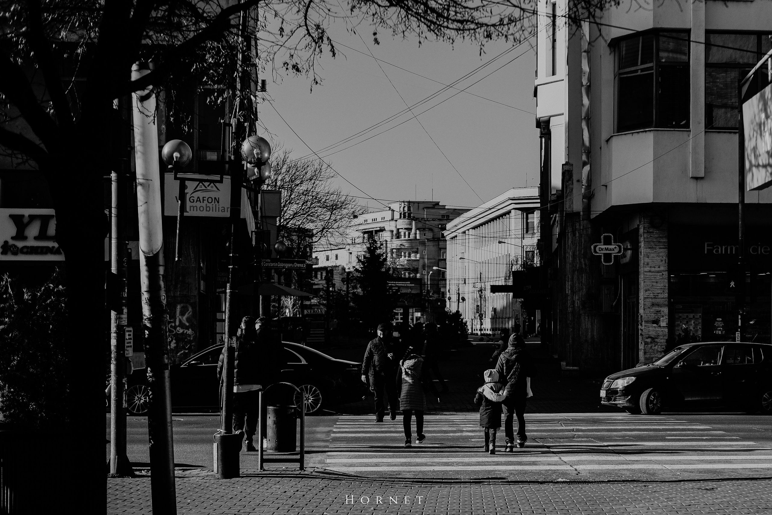 14.03.2026 Ploiesti | Romania. Hornetart