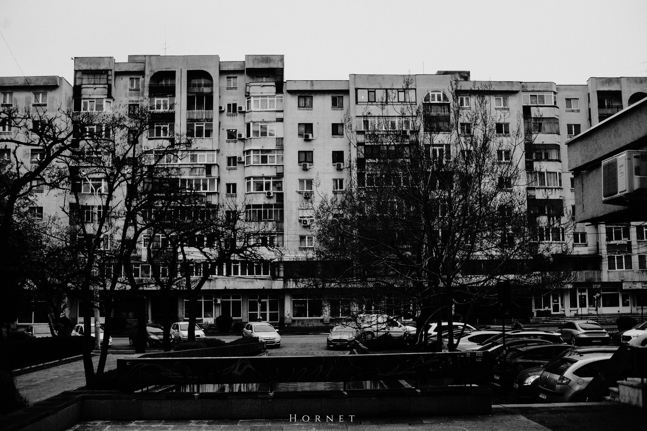 29.03.2025 Ploiesti | Romania. Hornetart