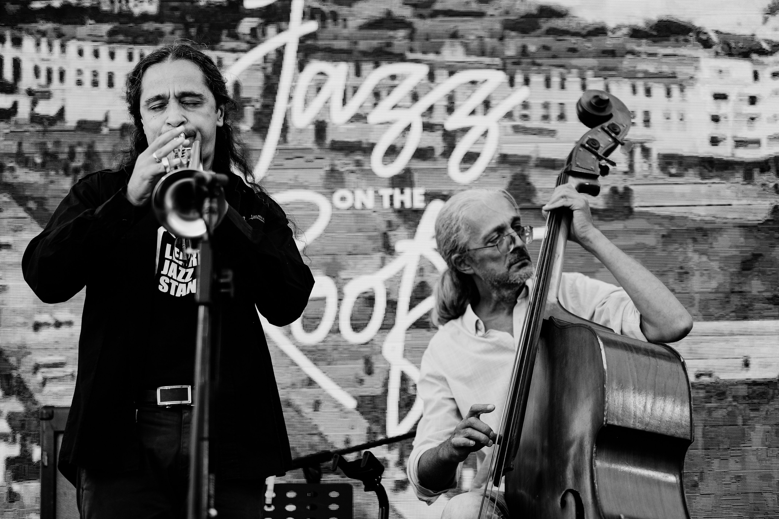 David Luca Trio. Hornetart