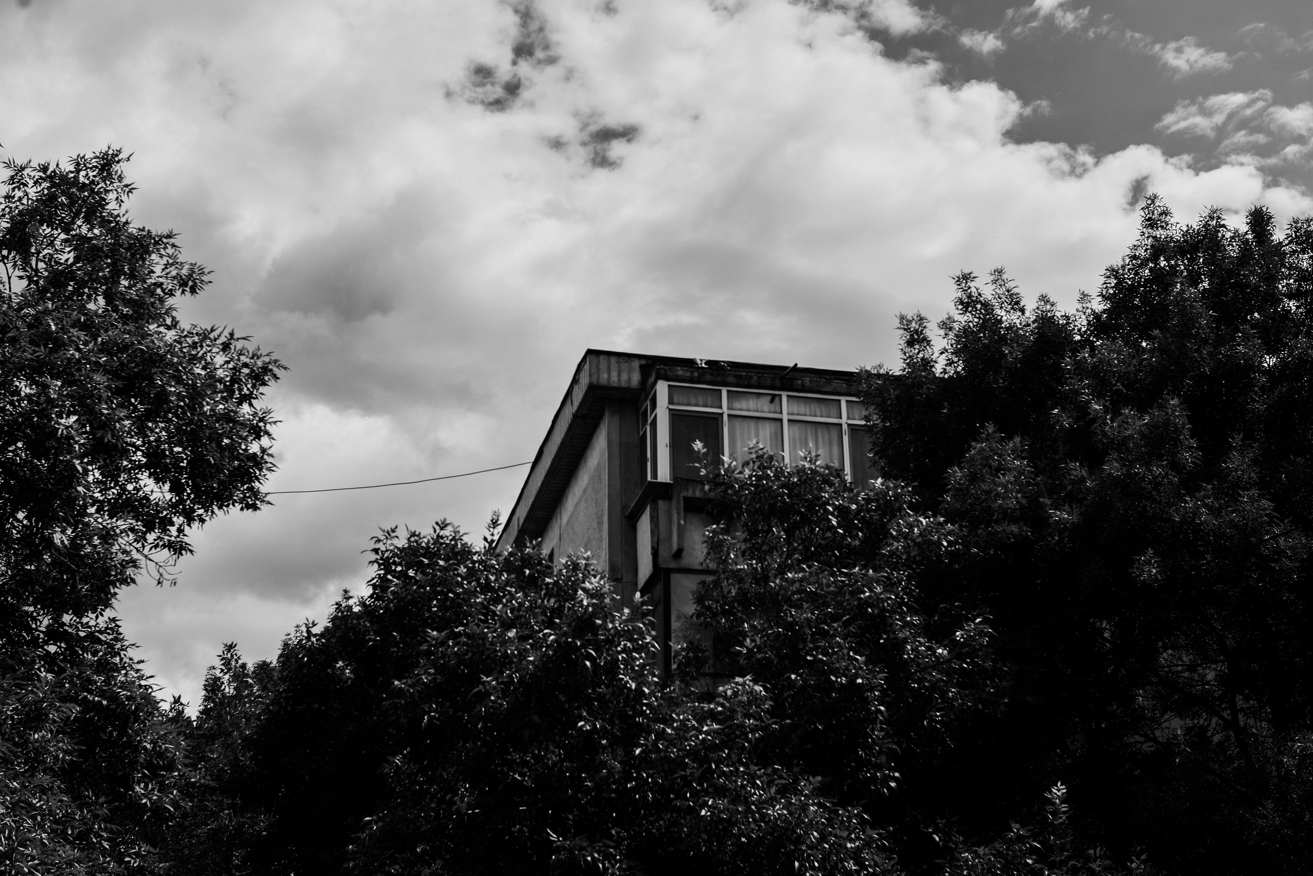 21.06.2025 Ploiesti | Romania. Hornetart