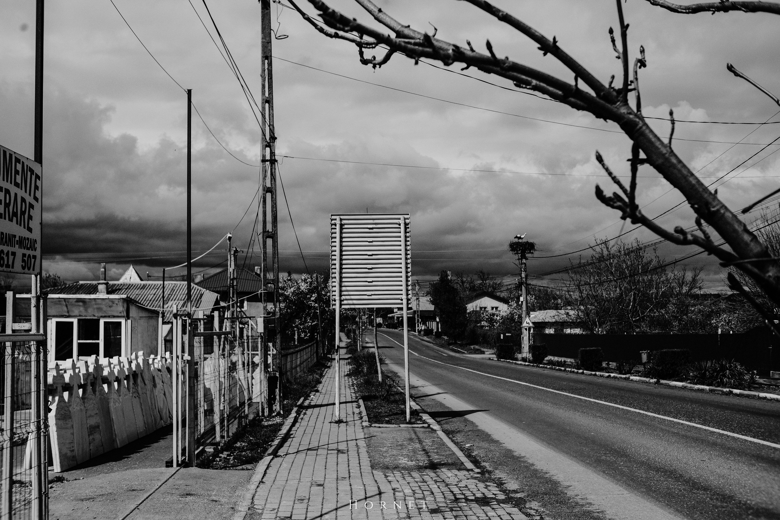 30.03.2025 Buzau | Romania. Hornetart