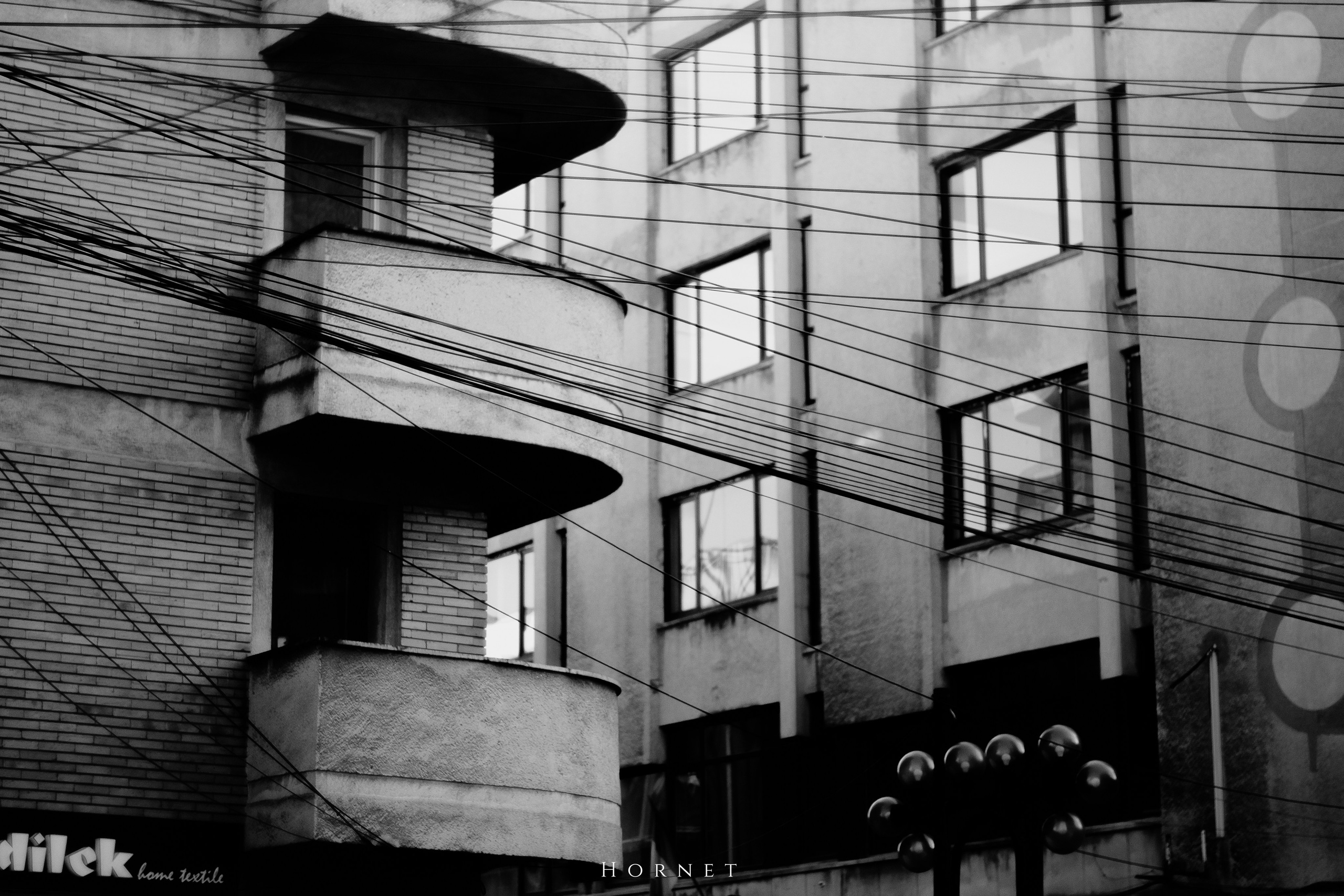 7.02.2025 Ploiesti | Romania. Hornetart