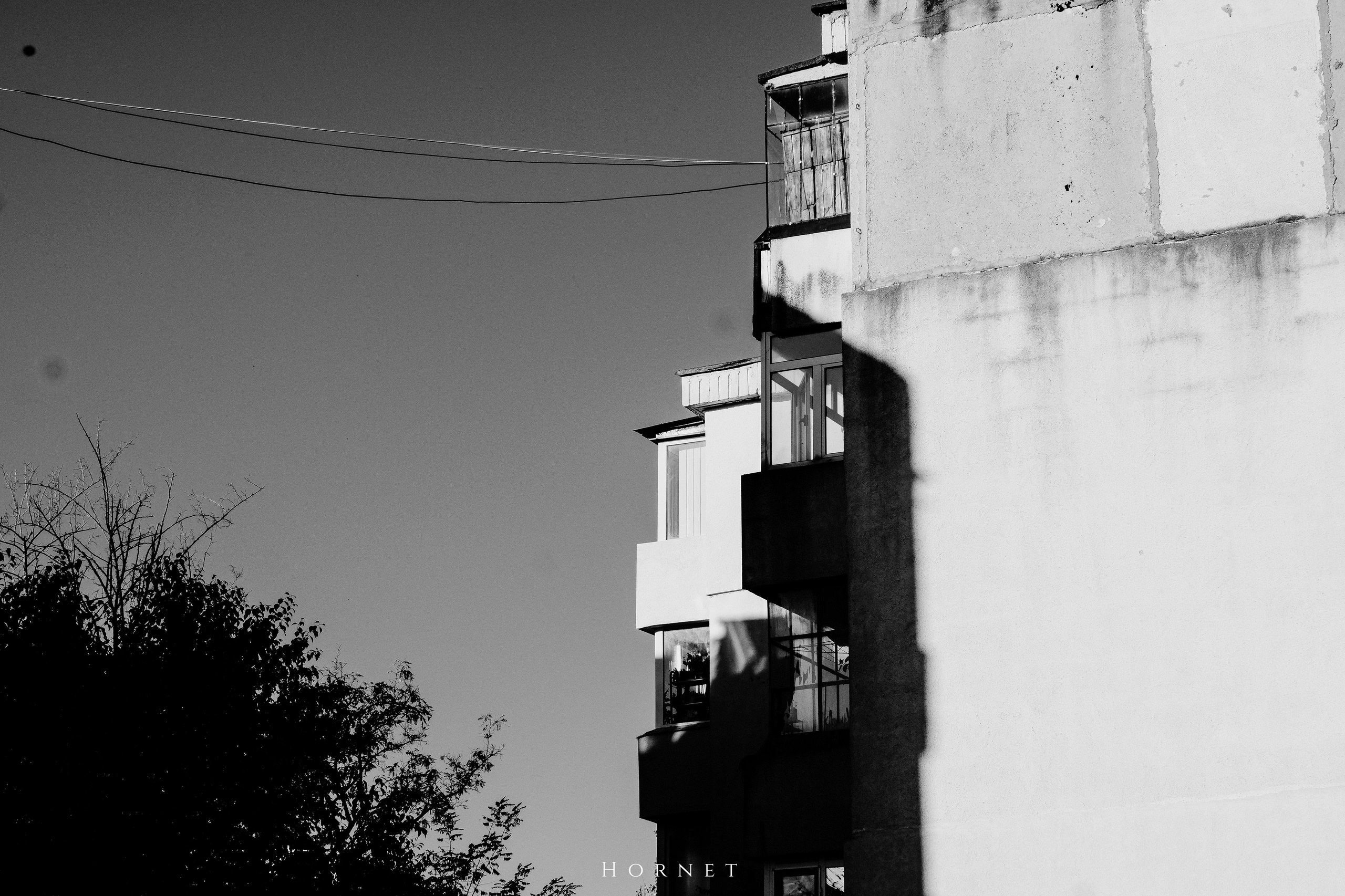 2.11.2025 Ploiesti | Romania. Hornetart