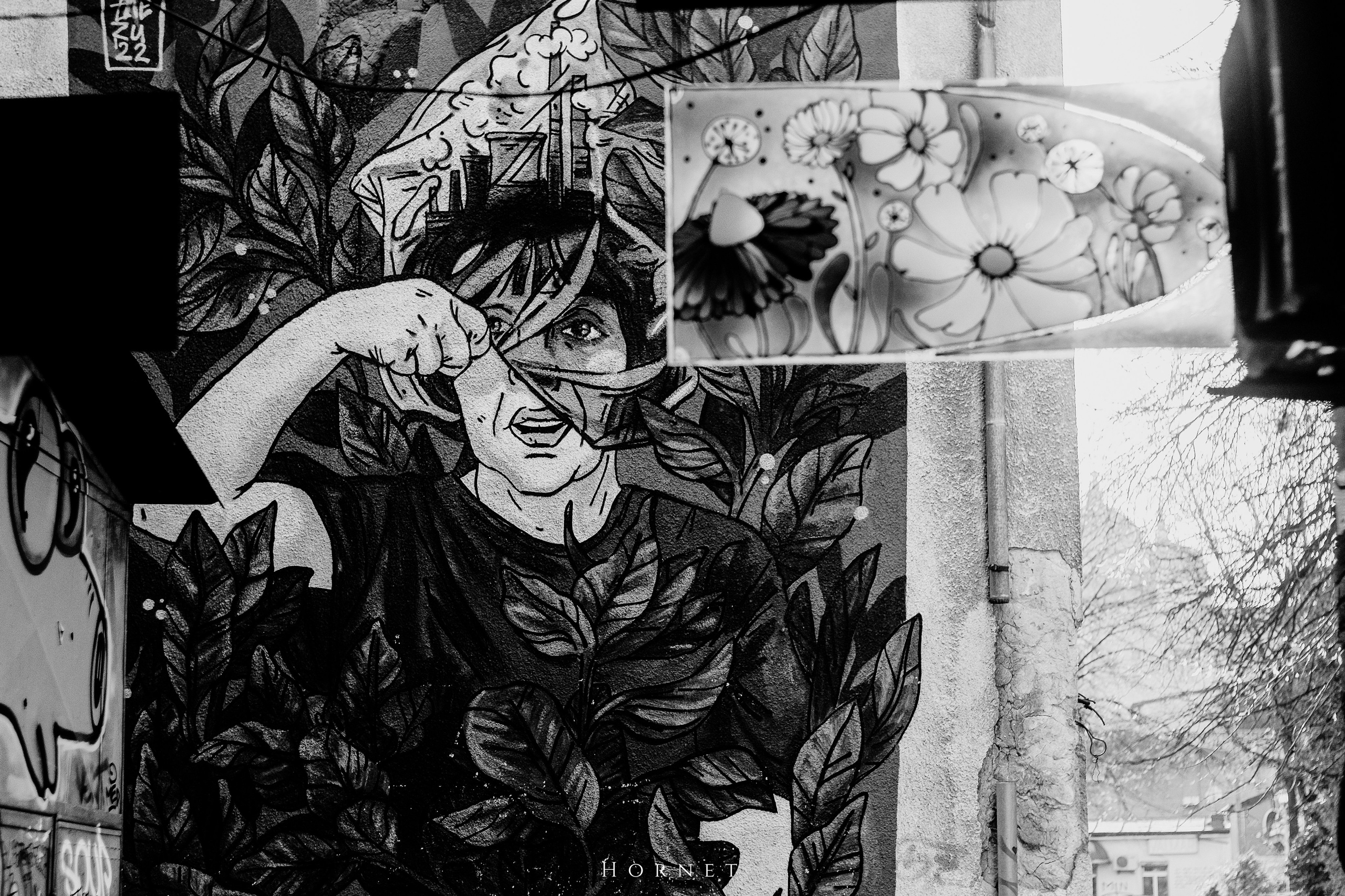 7.02.2025 Ploiesti | Romania. Hornetart