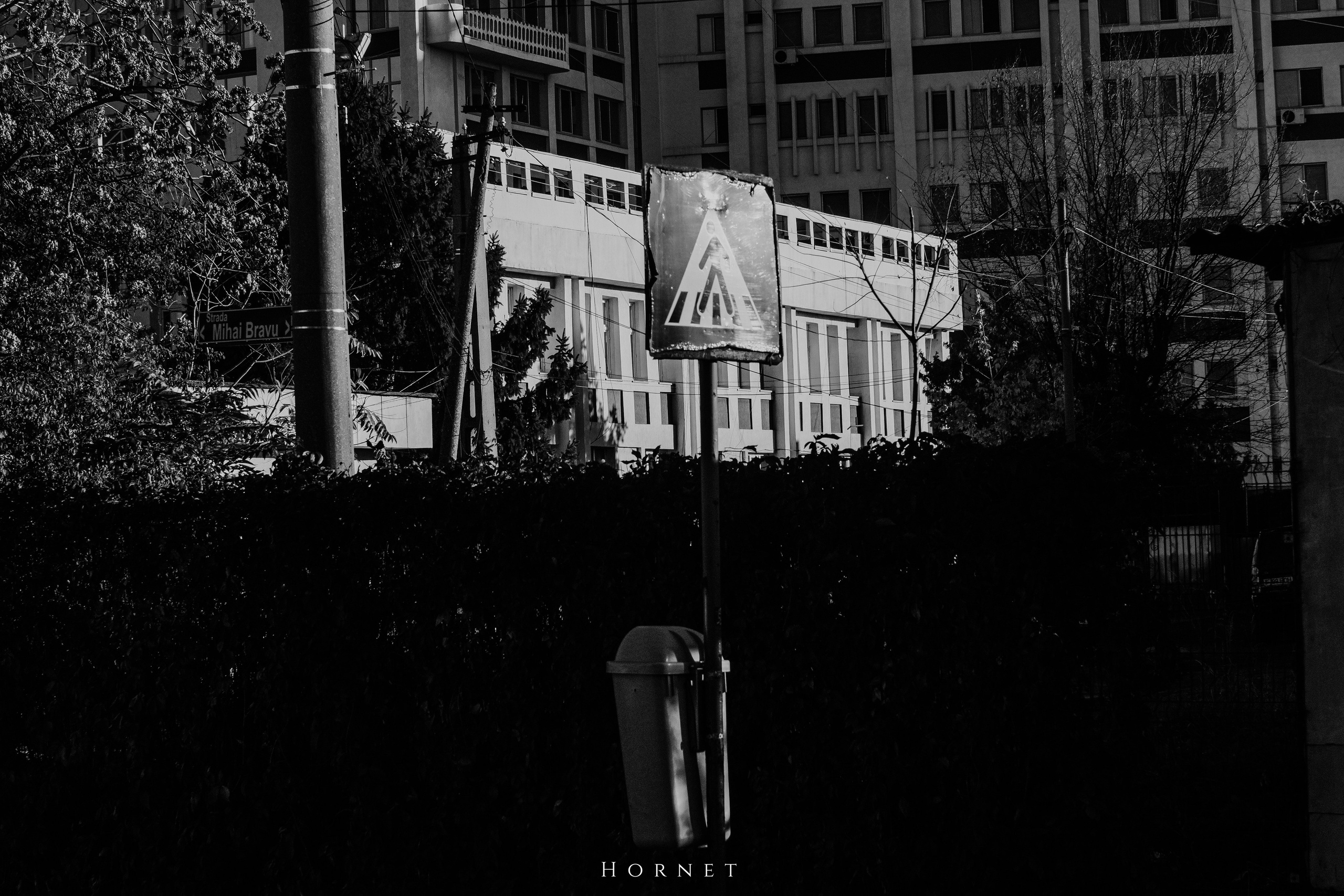 2.11.2025 Ploiesti | Romania. Hornetart