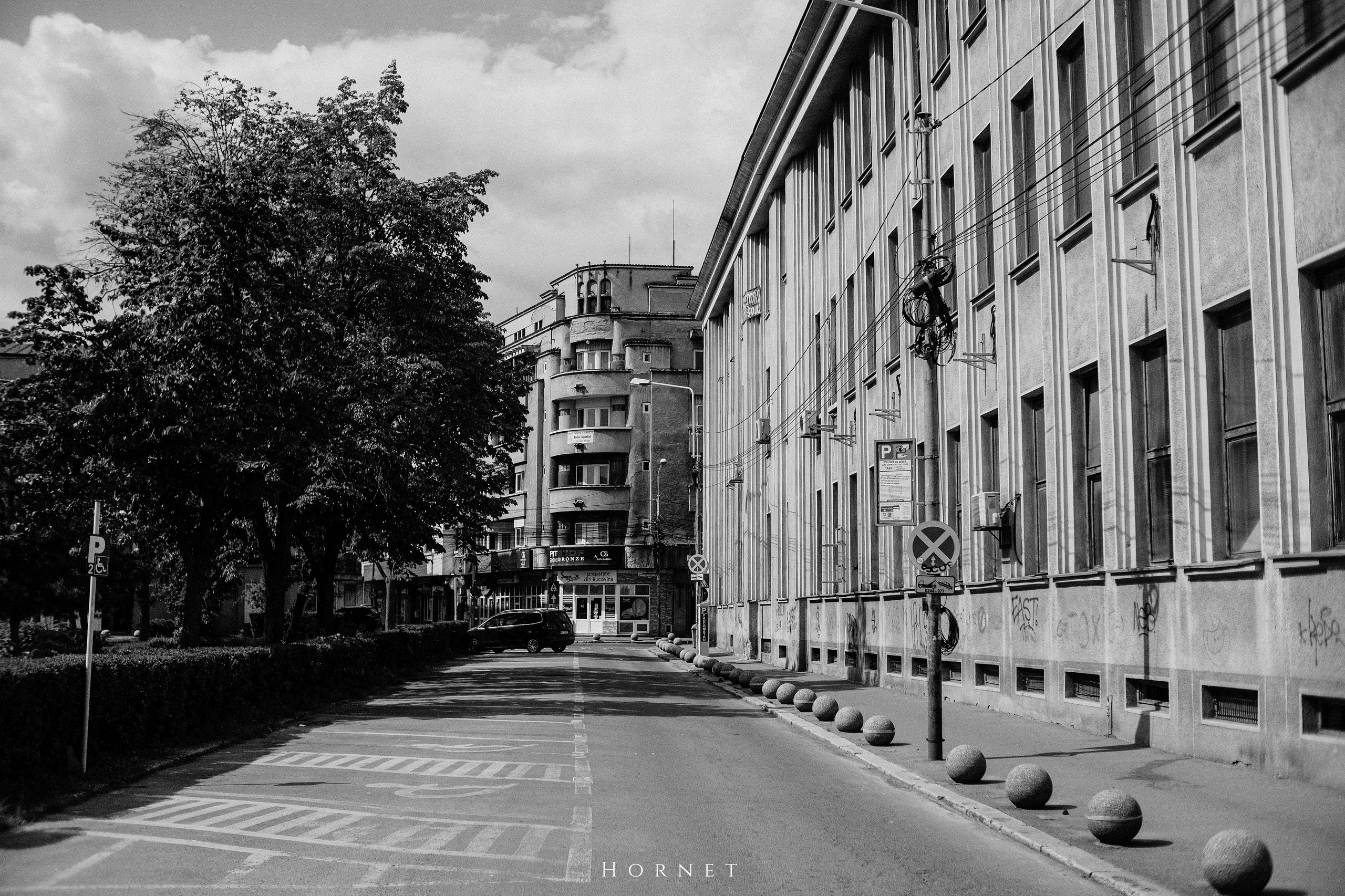 21.04.2025 Ploiesti | Romania. Hornetart