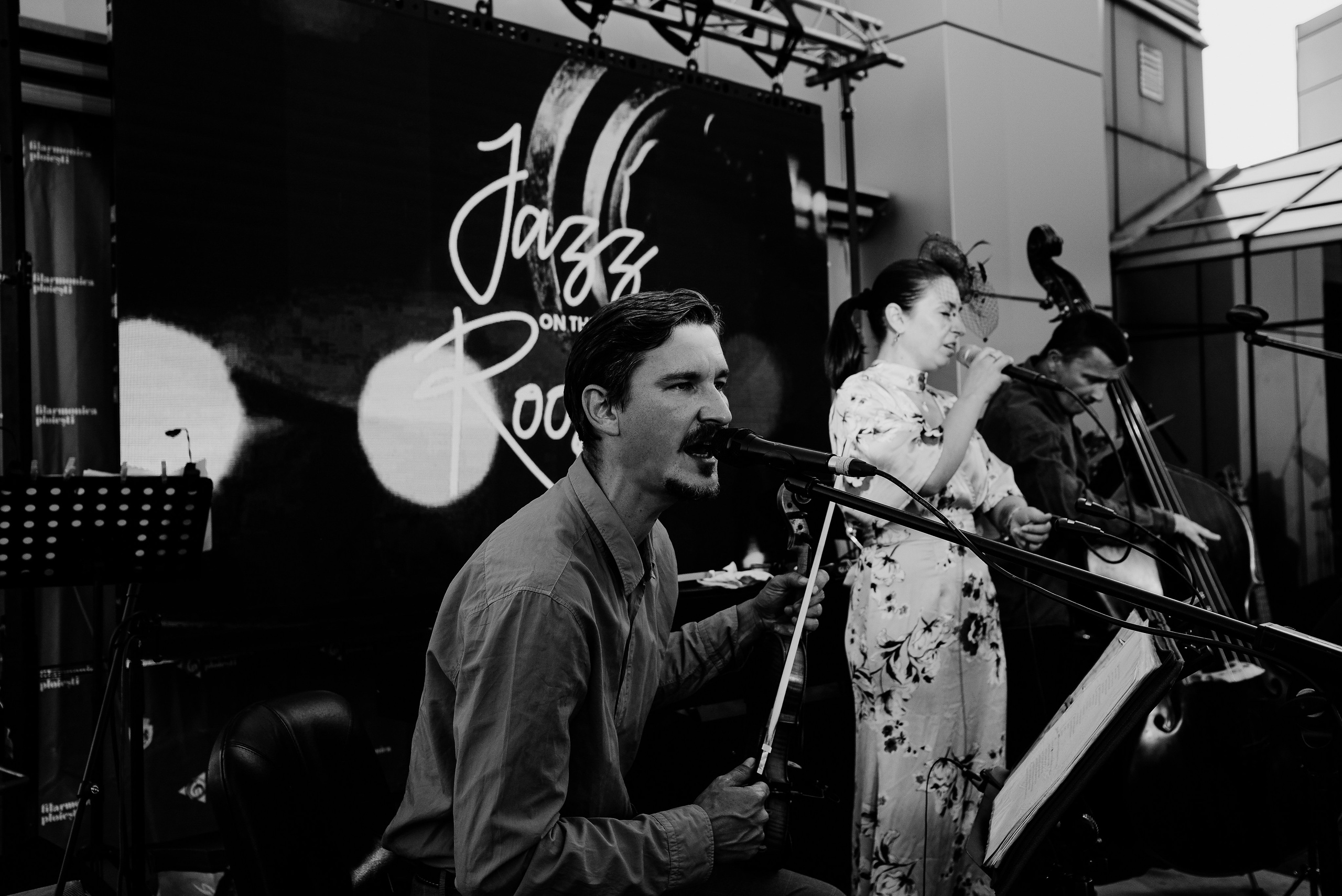 Luiza Zan & Jazzpar Trio. Hornetart