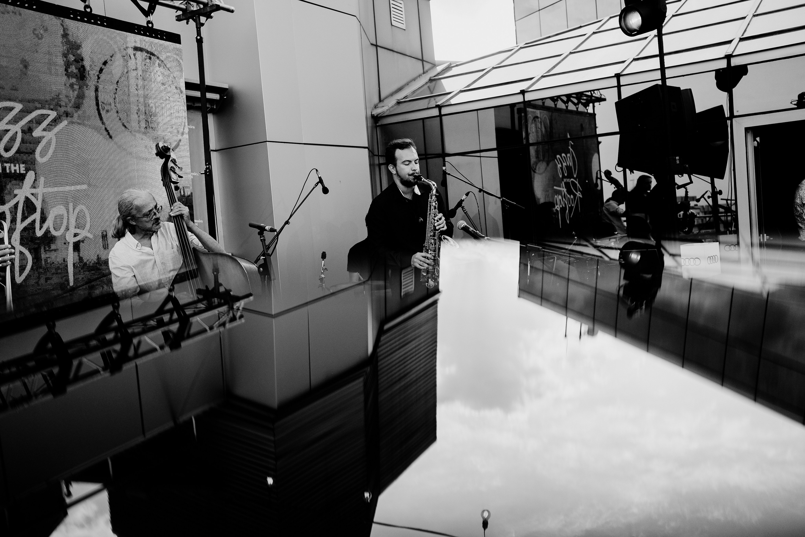 David Luca Trio. Hornetart