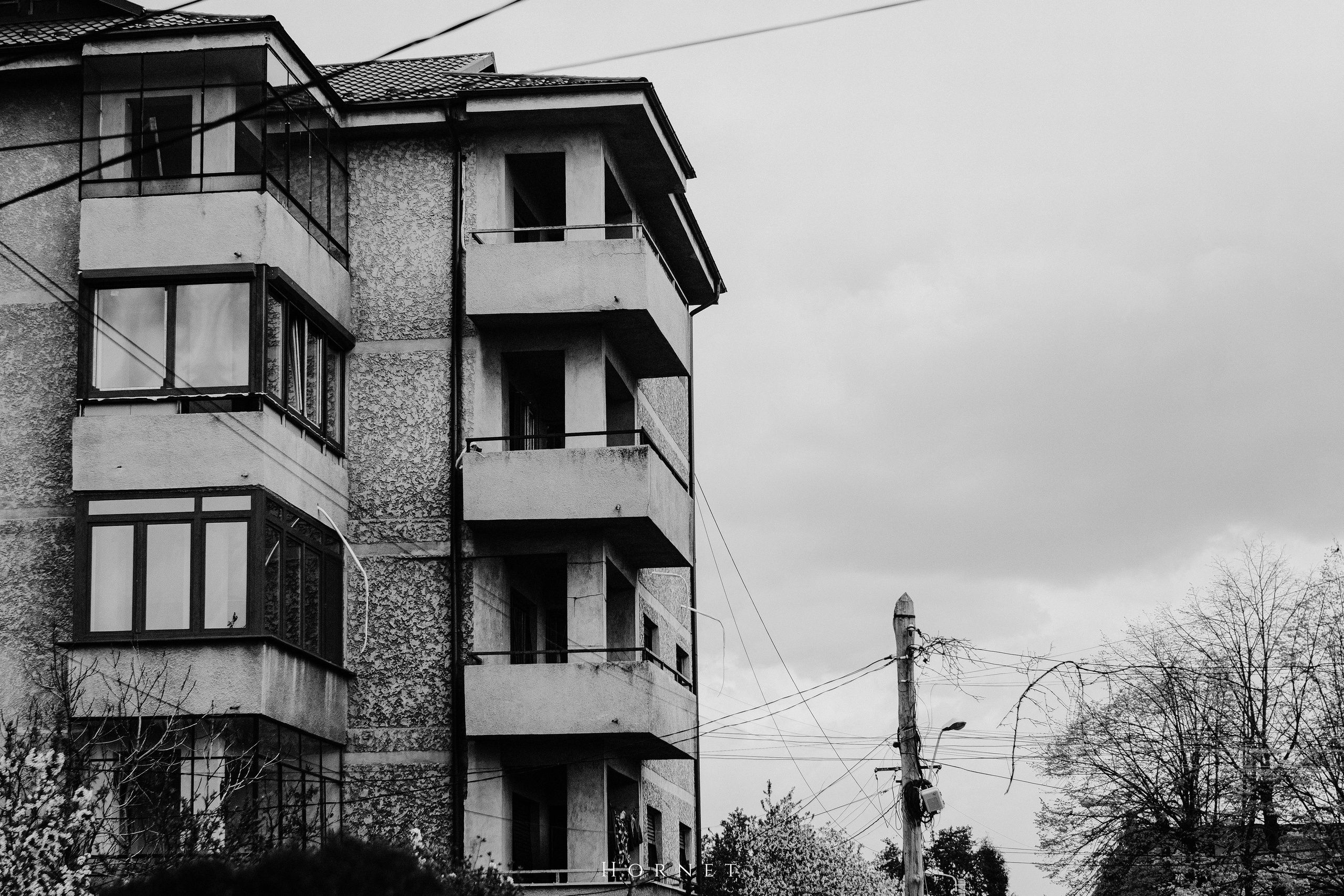 5.04.2025 Ploiesti | Romania. Hornetart