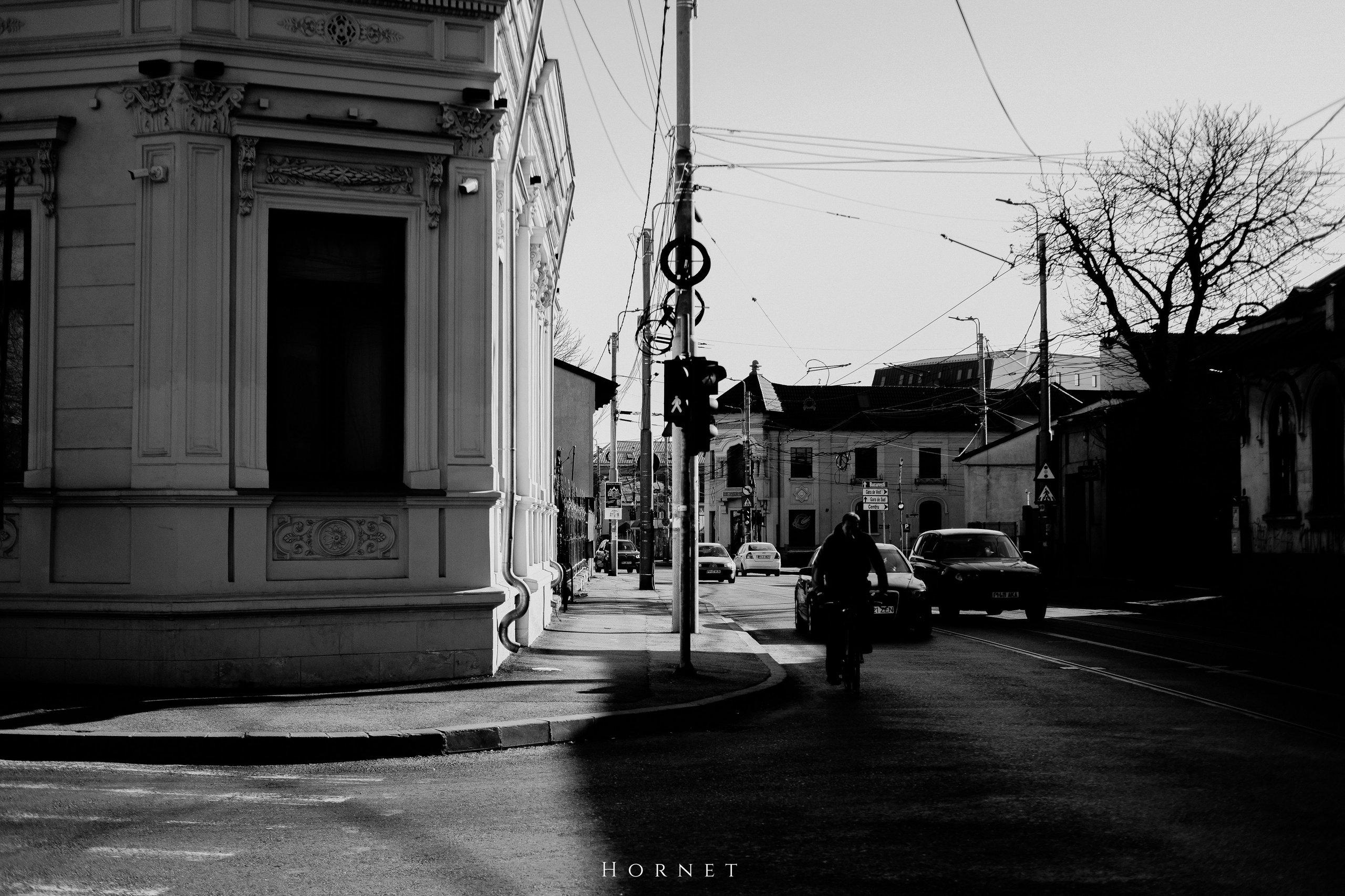 14.03.2026 Ploiesti | Romania. Hornetart