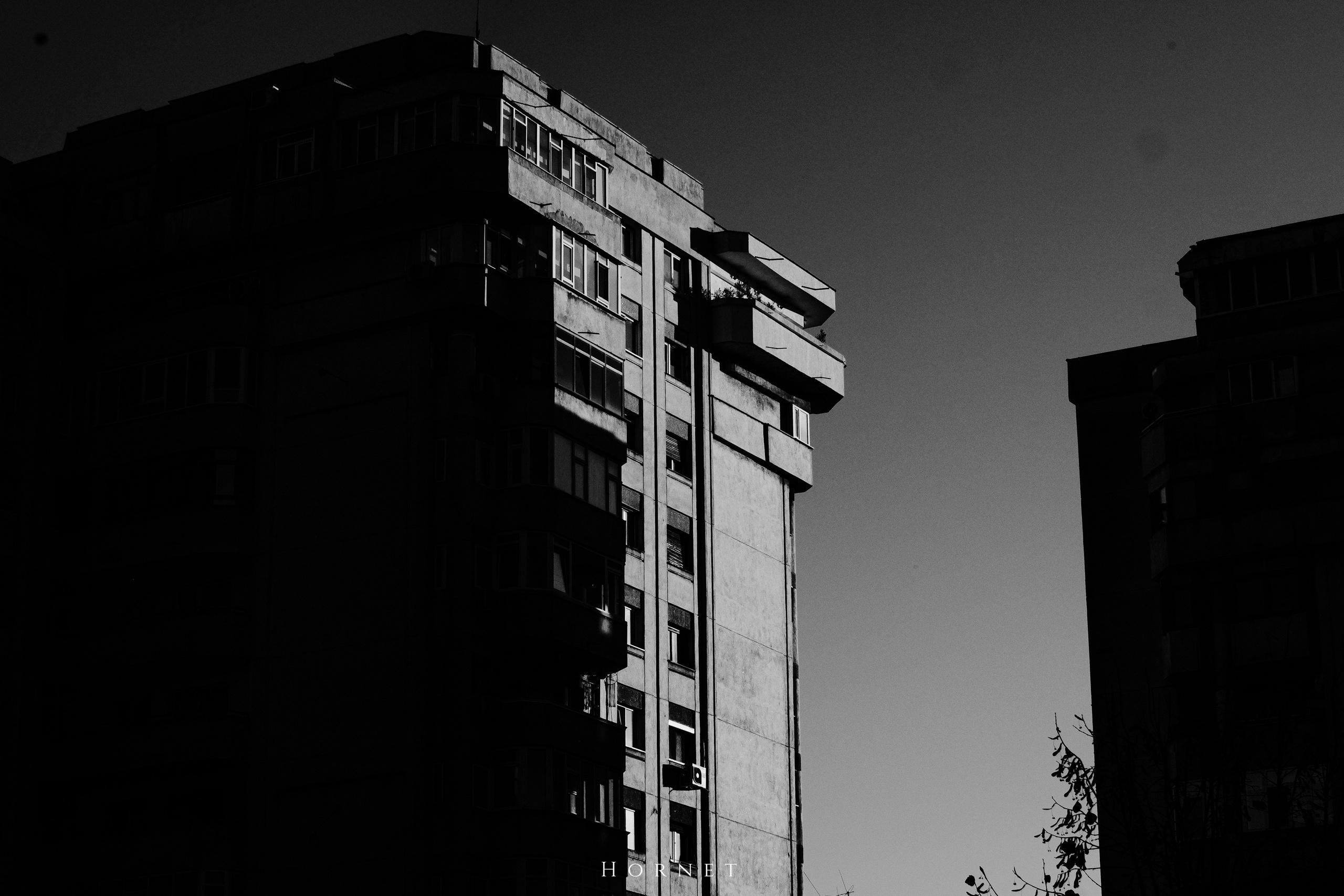 2.11.2025 Ploiesti | Romania. Hornetart